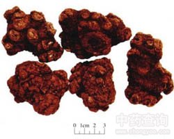 ��ܺ�Ĺ�Ч�c����