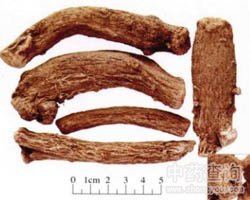 ľ��Ĺ�Ч�c����