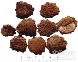 ľ�M�ӵĹ�Ч�c����