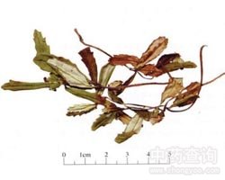 ʯ���mˎ��