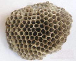 ��ˎ�䷿�DƬ