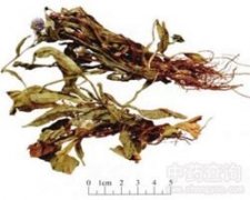 ���K����