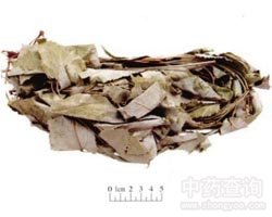 ��ɽ�����f