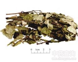 ��ľ�Ĺ�Ч�c����