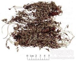 ��ض��Ĺ�Ч�c����