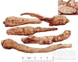 ��ɳ���Ĺ�Ч�c����