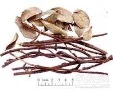 �j(lu��)ʯ��