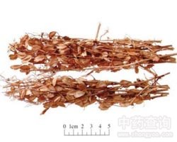 ݾ�q�Ĺ�Ч�c����