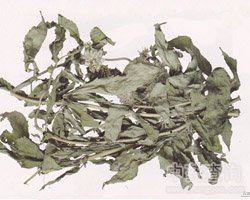 Ұ�R׷�Ĺ�Ч�c����