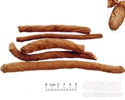 �y����Ĺ�Ч�c����