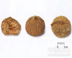 �o�����Ĺ�Ч�c����