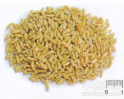 ��С���Ĺ�Ч�c����