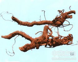 �r����Ĺ�Ч�c����