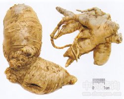 �Ƕ��Ĺ�Ч�c����