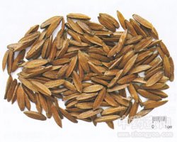 ϲ����Ĺ�Ч�c����