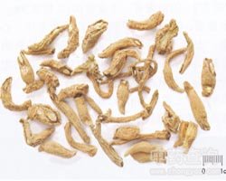 ���h��ˎ��