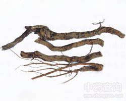 ľ�����Ĺ�Ч�c����