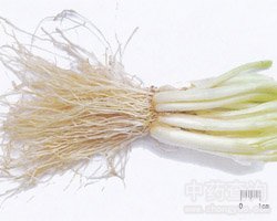 �[�׵Ĺ�Ч�c����