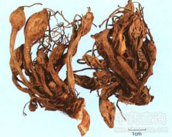 ��ݸ��Ĺ�Ч�c����