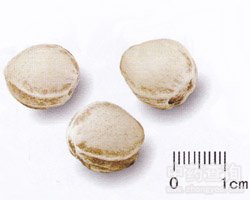 ���Һ˵Ĺ�Ч�c����