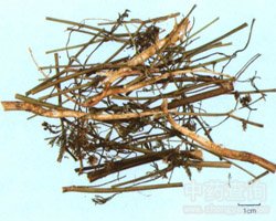 ��ݴ�Ĺ�Ч�c����