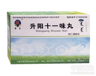 ���ʮһζ��