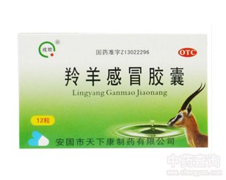 �����ð�z��