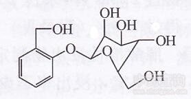 ����Ƥ����