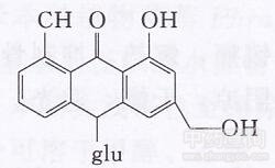 �J�C����