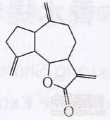 ľ��]�l(f��)��