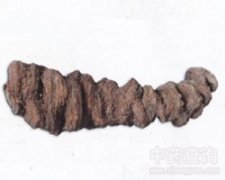 ���~һ֦��