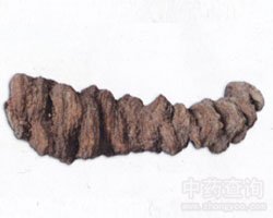 ���~һ֦���Ĺ�Ч�c����