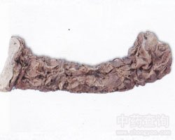 ����Ĺ�Ч�c����