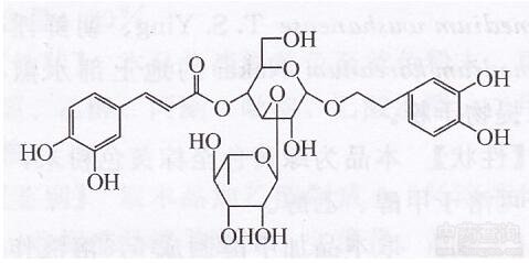 Ұ֥������