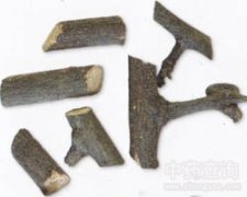 ����?zh��)?/></a><span><a href="http://m.sxydzsgs.com/name/jiulongteng_10358.html" title="����?zh��)? class="title">����?zh��)?/a></span></li>

  </ul>
  </span> </div>

<!--�D�V���^(q��)end-->  
    <div   id="wasgnz9"   class="box5_c box8_c  marT10">    
<script>show_view_06();</script>
 </div>
    
    <div   id="npu2tae"   class="gbox210" id="db_baidu1">
      <div   id="nnfmnmq"   class="box5_c box8_c"> <span id="m6n2w6g"    class="title2_c"> <i class="L"></i><i class="R"></i><strong>���T��ˎ</strong> </span> <span id="gqi2wz4"    class="box_c">
        <ul class="list1_c">
          <li><a href=