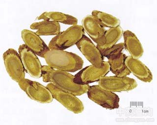 ���S�εĹ�Ч�c����