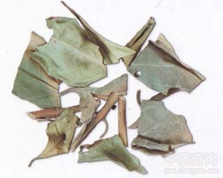 ���g�ǵĹ�Ч�c����