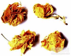 ��ɏ���Ĺ�Ч�c����