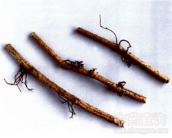 ��ɽ�����o