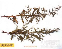 ���`����