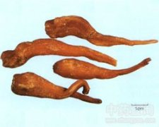 ��?y��n)?/></a><span><a href="http://m.sxydzsgs.com/name/ecan_13134.html" title="��?y��n)? class="title">��?y��n)?/a></span></li>

  </ul>
  </span> </div>

<!--�D�V���^(q��)end--> 
  </div>
</div>
<!-- //�ײ�ģ�� -->

<div   id="ldx5vzt"   class="copyrightbox">
  <div> <span> ��վ���Ѓ�(n��i)�ݾ��ǁ�Դ�ڻ�(li��n)�W(w��ng)��ˎ�W(xu��)�������s־����ժ����(n��i)�݃H�����������������\���{��(j��)��������D(zhu��n)�d��վ��(n��i)��Ո(q��ng)ע����Դ��ַ��</span> </div>  <script>show_view_02();</script>
</div>
<div   id="rnhlh5d"   class="bottominfo" id="bottominfo" style="padding-top:10px;">
  <hr style="width:970px;color:#bbb;" size="1">
  <a href="http://m.sxydzsgs.com/" title="��ˎ���">���</a> | <a href="http://m.sxydzsgs.com/name/" title="��ˎ��ȫ">��ˎ�Ĵ�ȫ</a> | <a href="http://m.sxydzsgs.com/fangji/" title="������ȫ">������ȫ</a> | <a href="http://m.sxydzsgs.com/sitemap.html" rel="nofollow">�W(w��ng)վ�؈D</a> | <a >�֙C(j��)��</a><br>
  Copyright  © 2014-2021 m.sxydzsgs.com ���(qu��n)���� ��ˎ��ԃ ��ICP��13004469̖(h��o)-1 <script language="javascript" type="text/javascript" src="http://m.sxydzsgs.com/img/js/#js"></script></div>
 

<footer>
<div class="friendship-link">
<p>��л���������ǵ���վ�������ܻ���������Դ����Ȥ��</p>
<a href="http://m.sxydzsgs.com/" title="加勒比东京热综合久久,91久久人人妻人人澡,最近最好最新免费中文字幕,亚洲av之美女人妻,国产亚洲a在线观看,亚洲天堂网伊人网,99久久这里只有精品6,久久精品在线视频在线观看,精品国在线观看视频在线播放">加勒比东京热综合久久,91久久人人妻人人澡,最近最好最新免费中文字幕,亚洲av之美女人妻,国产亚洲a在线观看,亚洲天堂网伊人网,99久久这里只有精品6,久久精品在线视频在线观看,精品国在线观看视频在线播放</a>

<div class="friend-links">


</div>
</div>

</footer>


<a href="http://www.yzumly.com" target="_blank">����һ������������Ƶ</a>|
<a href="http://www.cdhtzsgs.com" target="_blank">���޾þ�av97һ��</a>|
<a href="http://www.jinkouxie.com" target="_blank">������Ʒ�þþþ�Ʒ����</a>|
<a href="http://www.whxde.com" target="_blank">������Ʒ��Ů˿��һ������</a>|
<a href="http://www.ynqdjgj.com" target="_blank">һ��ɫ���þ����޾�Ʒav</a>|
<a href="http://www.dgkb66.com" target="_blank">ɫ�˽�һ��������������</a>|
<a href="http://www.xiyuan24.com" target="_blank">�������ÿ���������Ļ</a>|
<a href="http://www.jshajgc.com" target="_blank">�պ�av����һ�������������߿�</a>|
<a href="http://www.0736shch.com" target="_blank">����91�þþþþþ����</a>|
<a href="http://www.tjsjtw.com" target="_blank">ŷ���պ������������</a>|
<a href="http://www.omas-gioielli.com" target="_blank">�������ü���������Ƶ����</a>|
<a href="http://www.gspig.com" target="_blank">����av��������������</a>|
<a href="http://www.zzptskj.com" target="_blank">�����ٸ�һ������������Ƶ</a>|
<a href="http://www.gxcomp.com" target="_blank">������Ƶ���߹ۿ���Ʒ</a>|
<a href="http://www.ytiaolong.com" target="_blank">�ؼ���a��Ƭ�þþþþ�69</a>|
<a href="http://www.mmsetu.com" target="_blank">����һ�������������������Ƶ</a>|
<a href="http://www.shzihong.com" target="_blank">�պ�av��������ӰԺ</a>|
<a href="http://www.cf-hd.com" target="_blank">�����ۺϼ���av</a>|
<a href="http://www.jcgmqjj.com" target="_blank">�ٸ�����88�þ�������Ļ</a>|
<a href="http://www.yuxinjnjs.com" target="_blank">����999��Ʒ999</a>|
<a href="http://www.zdtcx.com" target="_blank">�����츾��ɫһ��һ������</a>|
<a href="http://www.jltrny.com" target="_blank">������������Ļ��������</a>|
<a href="http://www.tzyxsj.com" target="_blank">��Ů��ĸ����������Ļ</a>|
<a href="http://www.bjdylawyer.com" target="_blank">��������������Ƶ</a>|
<a href="http://www.wzyeyaqz.com" target="_blank">�����,������,����ɫ</a>|
<a href="http://www.jltrny.com" target="_blank">���޹����պ���Ʒ��Ƶ</a>|
<a href="http://www.mijiguimijijia.com" target="_blank">�պ���Ʒ��Ƶ��վ��ѿ�</a>|
<a href="http://www.sjhzh.com" target="_blank">��������gay����</a>|
<a href="http://www.hnzytech.com" target="_blank">������������ɫ��ͷ</a>|
<a href="http://www.xc883.com" target="_blank">91��ʲô��˼�����۴�</a>|
<a href="http://www.shceyun.com" target="_blank">ɫ���� ��������</a>|
<a href="http://www.yytqm.com" target="_blank">�þþ�Ʒ������ѹۿ�Ƶ��</a>|
<a href="http://www.dthf-china.com" target="_blank">�����պ�av��վ���߹ۿ�</a>|
<a href="http://www.i-jiaxing365.com" target="_blank">91��Ʒ��������������</a>|
<a href="http://www.wyfgj.com" target="_blank">�㽶av����avһ������</a>|
<a href="http://www.gx1913.com" target="_blank">�����׷����˵����þþþ�</a>|
<a href="http://www.xtsns.com" target="_blank">������Ļһ�������þ�����</a>|
<a href="http://www.taoumi.com" target="_blank">������Ʒ��ҹ�þþþ�</a>|
<a href="http://www.szfuxiao.com" target="_blank">���˵����þ�Ʒ�þ�</a>|
<a href="http://www.mayttt.com" target="_blank">���ھ�Ʒ������������a�þ�</a>|
<a href="http://www.yinfh.com" target="_blank">���߹ۿ��ղ�av��վ</a>|
<a href="http://www.ychjsw.com" target="_blank">�ձ��ٸ�������Ƶ��ѿ�</a>|
<a href="http://www.145wg.com" target="_blank">������Ļһ��������������</a>|
<a href="http://www.wjkanghui.com" target="_blank">�ձ����µ�������Ļ</a>|
<a href="http://www.schoolpot.com" target="_blank">���������߻�ɫƬƬ��</a>|
<a href="http://www.topyidatong.com" target="_blank">����caopao������Ƶ</a>|
<a href="http://www.zzcgfs.com" target="_blank">�������˾�Ʒ�Ƽ���Ƶ</a>|
<a href="http://www.sh-firstservice.com" target="_blank">��ɫav����av��ɫav����</a>|
<a href="http://www.jxmbjt.com" target="_blank">����һ�������պ���Ӱ</a>|
<a href="http://www.yuxinjnjs.com" target="_blank">���˾�Ʒ����h�����ձ�</a>|
<a href="http://www.xxhxtl.com" target="_blank">�պ���Ʒ����������Ļ����</a>|
<a href="http://www.gongwenfanyi.com" target="_blank">�պ�4����Ƶ���߲���</a>|
<a href="http://www.longxishop.com" target="_blank">��������һ������������������Ƶ</a>|
<a href="http://www.zhiquzhe.com" target="_blank">�þþ����޾�Ʒһ��������������</a>|
<a href="http://www.lh-itservice.com" target="_blank">���޶�ɫav����</a>|
<a href="http://www.cdrjqc.com" target="_blank">����������������ˬ����sex��</a>|
<a href="http://www.lengchidao.com" target="_blank">�ձ�����������������Ļ</a>|
<a href="http://www.ntanxin.com" target="_blank">�ٸ���Ʒ�츾���޷���</a>|
<a href="http://www.shangjiu-media.com" target="_blank">���߹���͵������</a>|
<a href="http://www.179xx.com" target="_blank">91������Ƶ���߿�����</a>|
<a href="http://www.yuehetian.com" target="_blank">������ѵ�Ӱ��վһ����������</a>|
<a href="http://www.wukexinhuwai.com" target="_blank">���˲�Ů�˵Ĵ�Ʊ�</a>|
<a href="http://www.ddhuacai.com" target="_blank">�����������ü��ձ�</a>|
<a href="http://www.ivyxa.com" target="_blank">һ����������ŷ���պ�ŷ��</a>|
<a href="http://www.kexiong168.com" target="_blank">av���������߲���</a>|
<a href="http://www.qihaoo.com" target="_blank">�ձ���������һ��Ƭ</a>|
<a href="http://www.sxtqyzjd.com" target="_blank">�պ���Ʒ�պ���Ʒ�պ�</a>|
<a href="http://www.cdspmx.com" target="_blank">Ư�����ޱ�ǿ������Ļ����</a>|
<a href="http://www.nmyxwl.com" target="_blank">����������ݺݰ�</a>|
<a href="http://www.ctslyw.com" target="_blank">����97ɫ������ѿ�</a>|
<a href="http://www.emacheng.com" target="_blank">�����鶹�紫ý��Ʒ����av����</a>|
<a href="http://www.kmhszyy.com" target="_blank">����һ���������ྫƷ�þ�</a>|
<a href="http://www.10086wan.com" target="_blank">�Ʒ���ʿjkѧ��˿��������װ</a>|
<a href="http://www.bdguanfeng.com" target="_blank">�պ�������Ƶ���߸���</a>|
<a href="http://www.bjsyjzlw.com" target="_blank">���˾�Ʒһ���þþþ�</a>|
<a href="http://www.hzzt168.com" target="_blank">�þ�99�Ⱦþ�99�����о�Ʒ</a>|
<a href="http://www.695713.com" target="_blank">ŷ���պ����������ۺ�</a>|
<a href="http://www.chaozhekou.com" target="_blank">ŷ������һ�����������ۺ�</a>|
<a href="http://www.tsje-bike.com" target="_blank">������Ļ����������Ƶ</a>|
<a href="http://www.gdzexin.com" target="_blank">��Ʒһ������������Ů�ٸ�</a>|
<a href="http://www.ynjinlu.com" target="_blank">������ɫ�������߹ۿ�</a>|
<a href="http://www.hbdhsw.com" target="_blank">��������֮֮��������</a>|
<a href="http://www.feishiyixue.com" target="_blank">����ɫ��̫ɫ��̫������Ƶ</a>|
<a href="http://www.jskaytion.com" target="_blank">����caopao������Ƶ</a>|
<a href="http://www.topyidatong.com" target="_blank">������������������</a>|
<a href="http://www.peoplepk.com" target="_blank">aaa��Ʒ��Ƶ�������</a>|
<a href="http://www.mijiguimijijia.com" target="_blank">�պ���Ʒ�պ���Ʒ�պ�</a>|
<a href="http://www.tjsjtw.com" target="_blank">����˿������һ����������</a>|
<a href="http://www.517lj.com" target="_blank">12avһ����������</a>|
<a href="http://www.tsbcygfd.com" target="_blank">99�������������ֻ�о�Ʒ</a>|
<a href="http://www.sctffd.com" target="_blank">����Ů�˾þþþþ�</a>|
<a href="http://www.yoopiao.com" target="_blank">����˿������һ����������</a>|
<a href="http://www.houlisaas.com" target="_blank">�þþ������츾һ����������</a>|
<a href="http://www.xc1088.com" target="_blank">ȫ���������Դ��</a>|
<a href="http://www.pdmoa.com" target="_blank">���������ɫ������</a>|
<a href="http://www.sdlchqgy.com" target="_blank">����������Ļ�ֻ�����</a>|
<a href="http://www.sh-sqsaic.com" target="_blank">������Ʒ�þþþþ�7777</a>|
<a href="http://www.hnmeilanfang.com" target="_blank">�ձ���Ʒ�þþþ�������Ļ2</a>|
<a href="http://www.hnyindi.com" target="_blank">�����������ӰԺ����</a>|
<a href="http://www.hon-de.com" target="_blank">�պ�ɫͼ����ӰԺ</a>|
<a href="http://www.dalihuaxun.com" target="_blank">��ҹ��Ʒһ������������Ӱ..</a>|
<a href="http://www.kkcome.com" target="_blank">�պ���Ʒ�����Ů���߹ۿ�</a>|
<a href="http://www.yytlsjz.com" target="_blank">����þ��ۺϾ�Ʒ�þ�����</a>|
<a href="http://www.chengyutrading.com" target="_blank">�����������þþþ�Ʒ</a>|
<a href="http://www.xmrldmy.com" target="_blank">������Ů�������ߵ�Ӱ</a>|
<a href="http://www.hxyljxsb.com" target="_blank">�þ�99�Ⱦþ�99�����о�Ʒ</a>|
<a href="http://www.toicp.com" target="_blank">���׳���av��Ӱ</a>|
<a href="http://www.qjksjx.com" target="_blank">����������������</a>|
<a href="http://www.kjwen.com" target="_blank">������Ļ�����ٸ�һ������</a>|
<a href="http://www.9wansf.com" target="_blank">97�������߹ۿ��պ�</a>|
<a href="http://www.zz976.com" target="_blank">���޼������ר��</a>|
<a href="http://www.hangyuzj.com" target="_blank">������Ļ����������Ƶ</a>|
<a href="http://www.31jianzhan.com" target="_blank">�ձ��츾ɫ97һ�����߹ۿ�</a>|
<a href="http://www.xinyangqc.com" target="_blank">91���� ���߲���</a>|
<a href="http://www.168mobi.com" target="_blank">�ֻ����߾�Ʒ����</a>|
<a href="http://www.wukexinhuwai.com" target="_blank">91���� ���߲���</a>|
<a href="http://www.daqinggames.com" target="_blank">www�ٲٲٲٲٲ�</a>|
<a href="http://www.g33hz.com" target="_blank">av����������߿�</a>|
<a href="http://www.qinlijingji.com" target="_blank">����������Ļ����һ������</a>|
<a href="http://www.totojiang.com" target="_blank">������˿��Ů�칫�Ҽ���žž</a>|
<a href="http://www.shareb2c.com" target="_blank">����þþþþþõ�Ӱ</a>|
<a href="http://www.ac1949.com" target="_blank">9999�þþþþþþ�</a>|
<a href="http://www.ledong100.com" target="_blank">97������Ʒ���߹ۿ�</a>|
<a href="http://www.hxyljxsb.com" target="_blank">ŷ���պ���������������Ļ</a>|
<a href="http://www.kaileiman.com" target="_blank">�������ÿ���֮������Ļ</a>|
<a href="http://www.hrbmq.com" target="_blank">�þþþþþ�����av</a>|
<a href="http://www.dyqiang.com" target="_blank">�����պ�av�ֻ����߹ۿ�</a>|
<a href="http://www.csjgmc.com" target="_blank">����������Ļ��������</a>|
<a href="http://www.pansbrand.com" target="_blank">��������a��һ����������</a>|
<a href="http://www.400613.com" target="_blank">һ����Ʒ��Ƶһ������������Ƶ</a>|
<a href="http://www.yuanlaijinsheng.com" target="_blank">av������Դ���߹ۿ�</a>|
<a href="http://www.ls-mygps.com" target="_blank">�պ� ŷ�� һ����������</a>|
<a href="http://www.1010kk.com" target="_blank">�����ղ����߹ۿ�ϵ��av</a>|
<a href="http://www.lethmik.com" target="_blank">97�þþþþþ�Ʒ����һ��</a>|
<a href="http://www.filterocm.com" target="_blank">�պ���Ʒ������Ļ���������г�</a>|
<a href="http://www.jingtushuma.com" target="_blank">�������������������Ƶ���߹ۿ�</a>|
<a href="http://www.17lwdx.com" target="_blank">�պ���������һ��</a>|
<a href="http://www.jiaolong-zsj.com" target="_blank">�պ�����������Ļav</a>|
<a href="http://www.tianhaobearing.com" target="_blank">���޻�ɫav�ۿ�</a>|
<a href="http://www.yxgytz.com" target="_blank">��ҹ������Ļ��ҳ������Ƶ</a>|
<a href="http://www.hankoufuke.com" target="_blank">��Ů����������Ļר��</a>|
<a href="http://www.163158.com" target="_blank">����Ůav����Ůxx</a>|
<a href="http://www.zjjxxm.com" target="_blank">����������˸���Ƶ</a>|
<a href="http://www.quanzishi.com" target="_blank">�պ��츾������Ļ</a>|
<a href="http://www.yhdd58.com" target="_blank">����ŷ������ɫ��Ƶ</a>|
<a href="http://www.wyfgj.com" target="_blank">������Ļ���޹���91</a>|
<a href="http://www.211wk.com" target="_blank">����ŷ���պ����߼���</a>|
<a href="http://www.pyddjg.com" target="_blank">�ž��Ⱦ�Ʒ�����Ƶ�ۿ�</a>|
<a href="http://www.hnxuya.com" target="_blank">����99��Ʒ�����������߹ۿ�</a>|
<a href="http://www.wmzyc.com" target="_blank">�պ���Ʒ��Ƶ��վ��ѿ�</a>|
<a href="http://www.shoumeiqifang.com" target="_blank">��ҹ��Ʒ��������av</a>|
<a href="http://www.lengchidao.com" target="_blank">ŷ�����պ�һ����������</a>|
<a href="http://www.lljyuesao.com" target="_blank">������Ůavһ��</a>|
<a href="http://www.xzsbj.com" target="_blank">�þþ�999��Ƶ��Ƶ</a>|
<a href="http://www.youhuachina.com" target="_blank">�츾����һ���������������þþ�</a>|
<a href="http://www.sdzyny.com" target="_blank">������Ļ����˿���������69</a>|
<a href="http://www.jtsgpcgzls.com" target="_blank">ŷ�޹����׾þþþþþ�</a>|
<a href="http://www.lengchidao.com" target="_blank">�ձ�����������Ӱ</a>|
<a href="http://www.baidutx.com" target="_blank">�պ���Ůavһ��</a>|
<a href="http://www.09ic.com" target="_blank">����av�պ�������ѹۿ�</a>|
<a href="http://www.shareb2c.com" target="_blank">������Ƶ���߹ۿ���Ʒ</a>|
<a href="http://www.wenyaoyiliao.com" target="_blank">91�㽶�þþþþ�</a>|
<a href="http://www.glyzxyey.com" target="_blank">������Ʒ�������߹ۿ��鶹</a>|
<a href="http://www.tangshaojing.com" target="_blank">���޾þ�av97һ��</a>|
<a href="http://www.jskaytion.com" target="_blank">ŷ��һ����������������Ƭ</a>|
<a href="http://www.yuanlaijinsheng.com" target="_blank">������������Ļ��������</a>|
<a href="http://www.xmrldmy.com" target="_blank">�������޹���av</a>|
<a href="http://www.tmdg168.com" target="_blank">����av�Ծþ�һ������</a>|
<a href="http://www.eeniao.com" target="_blank">�þþþþ���������</a>|
<a href="http://www.hbzxcg.com" target="_blank">123av������Ļ</a>|
<a href="http://www.meiguoqiaote315.com" target="_blank">��������������Ƶ��</a>|
<a href="http://www.aihww.com" target="_blank">91�þþ�Ʒ����91��</a>|
<a href="http://www.kkinflatable.com" target="_blank">���������찳Ҳȥ����</a>|
<a href="http://www.xxmh472.com" target="_blank">8�պ�һ��һƬ������9һ</a>|
<a href="http://www.xbyslw.com" target="_blank">ŷ��������Ʒһ�������Ʒ</a>|
<a href="http://www.shundaboli.com" target="_blank">�������������ۺ�a��</a>|
<a href="http://www.shangtengwang.com" target="_blank">91�鶹��Ʒ��ý�������߹ۿ�</a>|
<a href="http://www.houlisaas.com" target="_blank">�����ִ��ְ�������ˬ</a>|
<a href="http://www.hnmeilanfang.com" target="_blank">������Ʒ99�þþþ�www</a>|
<a href="http://www.qdfuzhiyin.com" target="_blank">�����ֺݺݰ�ŷ��</a>|
<a href="http://www.lqbaoyue.com" target="_blank">avtt�������þþ�Ʒ</a>|
<a href="http://www.shoumeiqifang.com" target="_blank">�պ���Ʒ��Ѷ�����������</a>|
<a href="http://www.xiangweb.com" target="_blank">�����պ�avһ��������������</a>|
<a href="http://www.hnbmin.com" target="_blank">����Ƶ18���߹ۿ�</a>|
<a href="http://www.takce.com" target="_blank">���ü����ۺ�һ������</a>|
<a href="http://www.tianjinjige.com" target="_blank">�þ�999��Ʒ�þþþþ�</a>|
<a href="http://www.yezhuvip.com" target="_blank">91������߹ۿ�����</a>|
<a href="http://www.assyyh.com" target="_blank">�պ���Ʒ�þ�������ҹҹ</a>|
<a href="http://www.zizhishenban.com" target="_blank">ŷ������һ��������</a>|
<a href="http://www.dyjsjt.com" target="_blank">ɪɪ������߹ۿ�</a>|
<a href="http://www.zjrtzn.com" target="_blank">����Ұ��������߳���Ƶ</a>|
<a href="http://www.6n6u.com" target="_blank">����С��Ƶ���߲�����վ</a>|
<a href="http://www.xlzhijia.com" target="_blank">��ѿ�av������Ļ</a>|
<a href="http://www.jnyousheng.com" target="_blank">ŷ��һ����������������Ƭ</a>|
<a href="http://www.zhiweifurniture.com" target="_blank">һ���õ��þ��ۺ��ۺ�</a>|
<a href="http://www.aliyunmaill.com" target="_blank">91���߹�����Ʒ��ѹۿ�</a>|
<a href="http://www.zytsjx.com" target="_blank">����������˸���Ƶ</a>|
<a href="http://www.shoumeiqifang.com" target="_blank">�պ���������͵��</a>|
<a href="http://www.hzfdwh.com" target="_blank">�ž������������Ƶ�ۿ�</a>|
<a href="http://www.kakaxz.com" target="_blank">������Ʒ�þþþþ�66</a>|
<a href="http://www.edu24sh.com" target="_blank">�����ٸ���Ƶ���߲���</a>|
<a href="http://www.zhwlsgd.com" target="_blank">���������ۺϾ�Ʒ�þ�</a>|
<a href="http://www.meiwuxiu.com" target="_blank">�ձ���ʮ·xxx</a>|
<a href="http://www.wxwxn.com" target="_blank">�þ��ۺϾ�Ʒ����ɫ��17</a>|
<a href="http://www.nmnbs.com" target="_blank">�þþ�Ʒ��Ů����AVɫ����ͬ</a>|
<a href="http://www.maibainuo.com" target="_blank">ɫ99ɫ.com</a>|
<a href="http://www.binglieyun.com" target="_blank">�����ֻ����ߴ��㽶</a>|
<a href="http://www.sckunyun.com" target="_blank">youtube��Ƶ��Ļ����</a>|
<a href="http://www.guanzhifu.com" target="_blank">����Ұ���³������˾޴�</a>|
<a href="http://www.lcresource.com" target="_blank">�Ⱦþþ�Ʒ��99��</a>|
<a href="http://www.sxtclp.com" target="_blank">ҹҹ��ҹҹ������������</a>|
<a href="http://www.dlxswl.com" target="_blank">��������͵������</a>|
<a href="http://www.aidisheng1288.com" target="_blank">��ҹ�þþþþý�����Ӱ</a>|
<a href="http://www.yishangzhuang.com" target="_blank">ŷ���պ���Ƭ���߹ۿ���Ƶ��վ</a>|
<a href="http://www.ychjsw.com" target="_blank">99�������������ֻ�о�Ʒ</a>|
<a href="http://www.zaoma3d.com" target="_blank">������������Ļ��������</a>|
<a href="http://www.bjsrtpx.com" target="_blank">ŷ��������Ʒһ�������Ʒ</a>|
<a href="http://www.liulibaijian.com" target="_blank">���߹���͵������</a>|
<a href="http://www.nj05.com" target="_blank">97ɫ���ۺ�����ŷ����Ƶ</a>|
<a href="http://www.motege.com" target="_blank">www.������Ļ˿��</a>|
<a href="http://www.qsfhome.com" target="_blank">���������׾�Ʒ����</a>|
<a href="http://www.zj3000.com" target="_blank">��Ʒ�þ�һ��av������Ļ</a>|
<a href="http://www.youjiw.com" target="_blank">�պ�av��һ��������</a>|
<a href="http://www.weitta.com" target="_blank">�պ���ɫӰ�Ӵ�ȫ</a>|
<a href="http://www.xinyangqc.com" target="_blank">�ձ��츾����xxx����</a>|
<a href="http://www.ladyjie.com" target="_blank">����ͼ������ͼƬ�պ�</a>|
<a href="http://www.024xrx.com" target="_blank">�ž������������Ƶ�ۿ�</a>|
<a href="http://www.mob95.com" target="_blank">һ��ɫ���þ��ۺ�����av</a>|
<a href="http://www.qinmanfu.com" target="_blank">������Ļ���޸���һ��</a>|
<a href="http://www.ccrcys.com" target="_blank">�պ�ŷ����������һ��</a>|
<a href="http://www.sxydzsgs.com" target="_blank">�þþ�999������Ƶ</a>|
<a href="http://www.meilixianning.com" target="_blank">�պ���Ʒ��Ƶ��վ��ѿ�</a>|
<a href="http://www.sckunyun.com" target="_blank">��ƬС��Ƶ������Ļ</a>|
<a href="http://www.bjdlbgkj.com" target="_blank">�պ�����av��Ӱ��</a>|
<a href="http://www.wanhex.com" target="_blank">��ҹ���˺ݺ�av</a>|
<a href="http://www.fujikantoner.com" target="_blank">���޹���ŷ����Ʒ�þþþ�</a>|
<a href="http://www.bashicar.com" target="_blank">����ŷ���պ����������ۺ�</a>|
<a href="http://www.idcftp.com" target="_blank">�����ٸ���Ƶ���߲���</a>|
<a href="http://www.lnwyts.com" target="_blank">ҹҹ��ҹҹ������������</a>|
<a href="http://www.bbs0757.com" target="_blank">�����������������</a>|
<a href="http://www.sjzfengshamei.com" target="_blank">�žŵ�Ӱŷ����Ʒ��ѿ�</a>|
<a href="http://www.sc-wine.com" target="_blank">���޾�ѡ������Ƶ</a>|
<a href="http://www.hzmmzs.com" target="_blank">����������ҹһ����������</a>|
<a href="http://www.pzjinxiudadi.com" target="_blank">�����ִ���Ӳ�ֻ���ˬ����Ƶ</a>|
<a href="http://www.hnhyqz.com" target="_blank">Ů��18ëƬһ����������</a>|
<a href="http://www.zhuomingkeji.com" target="_blank">������ɫ�������߹ۿ�</a>|
<a href="http://www.51minihong.com" target="_blank">������Ʒ�þþþþ��������</a>|
<a href="http://www.ynjinlu.com" target="_blank">��������һ��������������</a>|
<a href="http://www.huanfangwangluo.com" target="_blank">2023������Ļ���߲���</a>|
<a href="http://www.zby0757.com" target="_blank">��Ʒ����һ�������������߿�Ƭ</a>|
<a href="http://www.zhonghuaqixiu.com" target="_blank">�������av������վ</a>|
<a href="http://www.zzptskj.com" target="_blank">ŷ���պ��������һ������</a>|
<a href="http://www.anshuixiong.com" target="_blank">����������ҹһ����������</a>|
<a href="http://www.djxdsxxx.com" target="_blank">�þô����˾�Ʒ��Ƶ</a>|
<a href="http://www.longhenglatex.com" target="_blank">���������������ۺ���³³³</a>|
<a href="http://www.tjsjtw.com" target="_blank">���¾þ�99�����Ƶ��Ƶ</a>|
<a href="http://www.158fang.com" target="_blank">�þþ�ҹɫ��Ʒ����avͼ</a>|
<a href="http://www.miurban.com" target="_blank">��½��Ʒһ�����������þ�</a>|
<a href="http://www.njwanhong.com" target="_blank">�þ�99��Ʒɫ����</a>|
<a href="http://www.zhuzhusan.com" target="_blank">��Ū�ŵ������ٸ���Ʒ</a>|
<a href="http://www.tianyanbiaoju.com" target="_blank">��Ů�ٸ�һ���������߹ۿ�</a>|
<a href="http://www.xiaomiddc.com" target="_blank">������Ļ91����</a>|
<a href="http://www.hfhpy.com" target="_blank">���츾һ��,����,����</a>|
<a href="http://www.hesyy666.com" target="_blank">������Ƶ��վ�þ�����</a>|
<a href="http://www.yiqikaoedu.com" target="_blank">�þ������ٸ�av�۲�</a>|
<a href="http://www.caijiudou.com" target="_blank">�պ�����������Ļ����</a>|
<a href="http://www.jnyousheng.com" target="_blank">����avһ����������</a>|
<a href="http://www.weiin-china.com" target="_blank">��ɫУ԰�ۺϼ�������</a>|
<a href="http://www.llarsinc.com" target="_blank">������Ʒ�þþþ�jk�Ʒ�</a>|
<a href="http://www.zaoma3d.com" target="_blank">�þ�ܳ������Ļ˿��</a>|
<a href="http://www.hrbmq.com" target="_blank">91������Ļ���߹ۿ���վ</a>|
<a href="http://www.tgmts.com" target="_blank">�ž�����Ƶ��������</a>|
<a href="http://www.mh2xyq.com" target="_blank">ŷ��xingai���߲���</a>|
<a href="http://www.1314pt.com" target="_blank">�žŵ�Ӱŷ����Ʒ��ѿ�</a>|
<a href="http://www.hnzjgg.com" target="_blank">�鶹��Դ���߲����ۿ�</a>|
<a href="http://www.hzjinchu.com" target="_blank">�պ���Ʒ�þ�������ҹҹ</a>|
<a href="http://www.qjksjx.com" target="_blank">�պ�������Ƶ���߸���</a>|
<a href="http://www.hkd08.com" target="_blank">����һ�������������������Ƶ</a>|
<a href="http://www.szdhds.com" target="_blank">�����Ƶ����������Ļ����</a>|
<a href="http://www.gx1913.com" target="_blank">���ξ�Ʒ����91����þ�</a>|
<a href="http://www.aizhuangyi.com" target="_blank">������Ůɫwwwɫ</a>|
<a href="http://www.teahg.com" target="_blank">������Ʒ99�þþþ�www</a>|
<a href="http://www.dgszpx.com" target="_blank">ɫ������Ů�����</a>|
<a href="http://www.ls-mygps.com" target="_blank">�ۺ���վ�þþþþ�</a>|
<a href="http://www.hshrie.com" target="_blank">͵�� ���� ��Ů</a>|
<a href="http://www.cdsjzp.com" target="_blank">������Ļ������Դ��</a>|
<a href="http://www.lintongsh.com" target="_blank">ȫ������ػ���ɫ��Ƭ��Ƭ</a>|
<a href="http://www.hnhupai.com" target="_blank">2020�������˾�Ʒ��Ƶvr</a>|
<a href="http://www.qhflyzjjh.com" target="_blank">�����ִ���ˬ�ִ��ֻ���Ƶ</a>|
<a href="http://www.gw939.com" target="_blank">�����ۺϼ���av</a>|
<a href="http://www.dtsd518.com" target="_blank">97������Ʒ���߹ۿ�</a>|
<a href="http://www.longxishop.com" target="_blank">�þ�������ݺ���ҹҹ����ѹۿ�</a>|
<a href="http://www.vip519.com" target="_blank">�պ�����������Ļav</a>|
<a href="http://www.cnesdjw.com" target="_blank">����˿������ŷ��</a>|
<a href="http://www.souha123.com" target="_blank">���޻�ɫav�ۿ�</a>|
<a href="http://www.mofazhuang.com" target="_blank">��������һ��������������</a>|
<a href="http://www.xlzhijia.com" target="_blank">99��������������߿�</a>|
<a href="http://www.maibainuo.com" target="_blank">�ٸ��߳��þþþþ�һ��Ů��</a>|
<a href="http://www.dghuazhuangpin.com" target="_blank">�ձ��츾���һ����������</a>|
<a href="http://www.huanqiuwx.com" target="_blank">���޻�����Ƶ���߲���</a>|
<a href="http://www.dalihuaxun.com" target="_blank">���˾þ���ҳ��Ʒ</a>|
<a href="http://www.rq069.com" target="_blank">���޷������츾��xxoo</a>|
<a href="http://www.jlxizhou.com" target="_blank">������Ļ���߹ۿ���������</a>|
<a href="http://www.njxiefei.com" target="_blank">����ŷ�޳�����Ů��ר����</a>|
<a href="http://www.richmr.com" target="_blank">��ҹӰԺ���߾�Ʒ</a>|
<a href="http://www.csbztz.com" target="_blank">91avһ�������������߹ۿ�</a>|
<a href="http://www.hbzxcg.com" target="_blank">�þ������ٸ�av�۲�</a>|
<a href="http://www.bqzdh.com" target="_blank">�þù�������^v����</a>|
<a href="http://www.hfhhad.com" target="_blank">������ɫ�������߹ۿ�</a>|
<a href="http://www.dedecms08.com" target="_blank">�þ�������Ļ��Ƶ��Ļ</a>|
<a href="http://www.dijiehuanbao.com" target="_blank">www.������Ļ˿��</a>|
<a href="http://www.cdsj168.com" target="_blank">���޾�Ʒ���������Ƶ</a>|
<a href="http://www.jfxsq.com" target="_blank">��������֮֮��������</a>|
<a href="http://www.sxtqyzjd.com" target="_blank">�պ���Ůһ��һ��</a>|
<a href="http://www.ytiaolong.com" target="_blank">�ž���Ƶ��Ʒ������ѹۿ�</a>|
<a href="http://www.lingfujo.com" target="_blank">��Ʒ��Ƶһ��������������</a>|
<a href="http://www.weido123.com" target="_blank">��ҹӰԺ���߾�Ʒ</a>|
<a href="http://www.shenglinmedia.com" target="_blank">ŷ���պ���Ʒ��Ƶ��һҳ</a>|
<a href="http://www.omas-gioielli.com" target="_blank">���˾�Ʒ,������</a>|
<a href="http://www.lxfh119.com" target="_blank">�ձ����µ�������Ļ</a>|
<a href="http://www.175910.com" target="_blank">�����������ӰԺ����</a>|
<a href="http://www.jinlingguoji.com" target="_blank">�պ�����������Ļ����</a>|
<a href="http://www.filterocm.com" target="_blank">����������ˬ�þþþ�Ʒ����</a>|
<a href="http://www.zyauc.com" target="_blank">����������Ļ�ֻ�����</a>|
<a href="http://www.ytdpay.com" target="_blank">�þþþ��������Ƶ</a>|
<a href="http://www.sdpyjszp.com" target="_blank">����������ˬ����ܳ</a>|
<a href="http://www.knife-cn.com" target="_blank">�����պ�av��վ���߹ۿ�</a>|
<a href="http://www.400zf.com" target="_blank">�����ۺϼ���av</a>|
<a href="http://www.gtqlycq.com" target="_blank">����97��ʧ���������߹ۿ�</a>|
<a href="http://www.henanxhz.com" target="_blank">����avһ�����������ԭ</a>|
<a href="http://www.chsimu.com" target="_blank">������Ƶɫͼ����</a>|
<a href="http://www.yoopiao.com" target="_blank">˿������˿����������</a>|
<a href="http://www.wanju101.com" target="_blank">����һ����������������Ƶ</a>|
<a href="http://www.quanjian666.com" target="_blank">���ü����ۺ�һ������</a>|
<a href="http://www.021kaixin1.com" target="_blank">����һ��av����Ƭ</a>|
<a href="http://www.sxydzsgs.com" target="_blank">�ձ��츾�þþþþ�</a>|
<a href="http://www.ychjsw.com" target="_blank">�þþ�Ʒ����99�þþ�����</a>|
<a href="http://www.qinmanfu.com" target="_blank">һ��ɫ���þ��ۺ�����av</a>|
<a href="http://www.jskaytion.com" target="_blank">����һ����������88av</a>|
<a href="http://www.mu969.com" target="_blank">�����պ���Ƶ������Ļ</a>|
<a href="http://www.xxltgg.com" target="_blank">2023������Ļ���߲���</a>|
<a href="http://www.jiaolong-zsj.com" target="_blank">ŷ�����龫Ʒ�þþ�С˵</a>|
<a href="http://www.yhdd58.com" target="_blank">���˾�Ʒ��Ӱһ����������</a>|
<a href="http://www.czsfxc.com" target="_blank">����ŷ�޳�����Ů��ר����</a>|
<a href="http://www.cxrxh.com" target="_blank">��ҹ��Ʒ��������av</a>|
<a href="http://www.175910.com" target="_blank">��Ʒ�����ٸ�ϵ��Ů��ϵ��</a>|
<a href="http://www.longhenglatex.com" target="_blank">91ɫporny����</a>|
<a href="http://www.zqfmj.com" target="_blank">ŷ���պ������ۺ�ɫ</a>|
<a href="http://www.lyxiangyujc.com" target="_blank">һ�����������պ����߹ۿ�</a>|
<a href="http://www.jlxizhou.com" target="_blank">����avһ��������������</a>|
<a href="http://www.xlzhijia.com" target="_blank">��Ʒ����þþþþ�</a>|
<a href="http://www.sjzvvv.com" target="_blank">���޹���ŷ����Ʒ�þþþ�</a>|
<a href="http://www.179xx.com" target="_blank">�պ���Ʒ������ѹۿ�������Ƶ</a>|
<a href="http://www.cnxintian.com" target="_blank">��Ƶһ�������������</a>|
<a href="http://www.dtsd518.com" target="_blank">�ܻƺܻƵ������ϴ�</a>|
<a href="http://www.tymlmm.com" target="_blank">������Ůһ�����������������</a>|
<a href="http://www.ls-mygps.com" target="_blank">����ŷ������þþ�Ʒ</a>|
<a href="http://www.penglecw.com" target="_blank">һ�����������þþ���</a>|
<a href="http://www.jiangnanzaobi.com" target="_blank">������Ʒ����Ƶ����</a>|
<a href="http://www.nmpopula.com" target="_blank">�þþ�Ʒ������Ļ�߳�37</a>|
<a href="http://www.tqpf120.com" target="_blank">91��Ʒ�þþþþ�99��Ƶ</a>|
<a href="http://www.cdsjzp.com" target="_blank">������Ļ����99</a>|
<a href="http://www.sdzzhh.com" target="_blank">������Ů�������ߵ�Ӱ</a>|
<a href="http://www.i-jiaxing365.com" target="_blank">91��Ʒž���߹ۿ�����91����</a>|
<a href="http://www.sdwurenji.com" target="_blank">�þþ�Ʒ������Ļ�߳�37</a>|
<a href="http://www.bybyys.com" target="_blank">�ձ���Ʒ������Ѿþþ�</a>|
<a href="http://www.wwshijie.com" target="_blank">��Ƶһ�������������</a>|
<a href="http://www.min5you.com" target="_blank">�úõ���������Ƶ�ۿ�</a>|
<a href="http://www.lqkaida.com" target="_blank">999�ȹ��ھ�Ʒ���������Ƶ</a>|
<a href="http://www.bhhbx.com" target="_blank">һ�������������������պ�</a>|
<a href="http://www.kexiong168.com" target="_blank">��Ʒ����avɫӴӴ</a>|
<a href="http://www.sx117.com" target="_blank">ŷ���ڱ����޿ڱ�����</a>|
<a href="http://www.songjunle.com" target="_blank">��Ʒ91����������Ļ</a>|
<a href="http://www.ningmengyutou.com" target="_blank">91���߹ۿ���Ƶ����</a>|
<a href="http://www.shruiyuan2068.com" target="_blank">�����츾һ����������av</a>|
<a href="http://www.ghjhsc.com" target="_blank">����ŷ���պ���Ʒ��Ƶ</a>|
<a href="http://www.xc883.com" target="_blank">99�þ�99�þþþ�Ʒ</a>|
<a href="http://www.hualu12316.com" target="_blank">��ҹ������Ļ��ҳ������Ƶ</a>|
<a href="http://www.xiaohangou.com" target="_blank">����һ��������Ů��Ƶ</a>|
<a href="http://www.sczcgs.com" target="_blank">�Ǿþþþþþþþþþþþ�</a>|
<a href="http://www.toicp.com" target="_blank">�����ִ���ˬ�ִ��ֻ���Ƶ</a>|
<a href="http://www.nbhjgf.com" target="_blank">��Ʒ�þþþþþþþþû�����</a>|
<a href="http://www.lintongsh.com" target="_blank">����av���߹ۿ�����</a>|
<a href="http://www.masxbzy.com" target="_blank">������Ʒ�߳������þ�av����</a>|
<a href="http://www.taioukeji.com" target="_blank">�պ�������Ƶ����һ����������</a>|
<a href="http://www.shenzhenfusion.com" target="_blank">91������������ѿ�</a>|
<a href="http://www.revealcuba.com" target="_blank">�����������ü��ձ�</a>|
<a href="http://www.1-001.com" target="_blank">97�պ����������Ƶ��վ</a>|
<a href="http://www.58bianmin.com" target="_blank">���޼�����������</a>|
<a href="http://www.jsjuuko.com" target="_blank">99�����߾�Ʒ����ֻ�о�Ʒ</a>|
<a href="http://www.reseaufun.com" target="_blank">������˿��Ů�칫�Ҽ���žž</a>|
<a href="http://www.xlzhijia.com" target="_blank">������Ʒ��Ƶ�㶮��91</a>|
<a href="http://www.i5v5.com" target="_blank">�����ٸ���Ʒһ������</a>|
<a href="http://www.miurban.com" target="_blank">�ձ�һ����������������</a>|
<a href="http://www.sjzmdkj.com" target="_blank">������Ļһ����������������</a>|
<a href="http://www.hzlbbg.com" target="_blank">ŷ��������Ʒһ�������Ʒ</a>|
<a href="http://www.yidongshenghuo.com" target="_blank">�����鶹��Ʒ�þþþþþþ�</a>|
<a href="http://www.1-001.com" target="_blank">����av���ھ�Ʒ�þþ�ҹҹ��</a>|
<a href="http://www.gongyiluntai.com" target="_blank">���޼����鶹�ۺ�</a>|
<a href="http://www.tmdg168.com" target="_blank">���޹���һ�����������þþ�</a>|
<a href="http://www.dgkb66.com" target="_blank">123av������Ļ</a>|
<a href="http://www.renheyl.com" target="_blank">�ž��Ⱦ�Ʒ�����Ƶ�ۿ�</a>|
<a href="http://www.kaitianzs.com" target="_blank">����͵�����ľþþ�</a>|
<a href="http://www.zjemiao.com" target="_blank">������վ���߲���</a>|
<a href="http://www.13956887375.com" target="_blank">�����ֻ����ߴ��㽶</a>|
<a href="http://www.722720.com" target="_blank">�þ�����ɫ�ۺ��պ�һ��һ��</a>|
<a href="http://www.xiaohangou.com" target="_blank">����Ұ��������߳���Ƶ</a>|
<a href="http://www.ddhuacai.com" target="_blank">����av����������</a>|
<a href="http://www.qdaikj.com" target="_blank">��������������찮</a>|
<a href="http://www.kmhszyy.com" target="_blank">һ�������������������պ�</a>|
<a href="http://www.kutaoer.com" target="_blank">www�ٲٲٲٲٲ�</a>|
<a href="http://www.mu969.com" target="_blank">2023av������Ƶ</a>|
<a href="http://www.changcha100.com" target="_blank">���޻�����Ƶ���߲���</a>|
<a href="http://www.xc1088.com" target="_blank">���� �Ʒ� ���� �þ�</a>|
<a href="http://www.bwlvban.com" target="_blank">ɫ��վ������ѹۿ���Ƶ</a>|
<a href="http://www.huanfangwangluo.com" target="_blank">���޼������ߵ�Ӱ�ۿ�</a>|
<a href="http://www.ctslyw.com" target="_blank">���������׾�Ʒ����</a>|
<a href="http://www.jlgzsl.com" target="_blank">ɫ���������¿���������</a>|
<a href="http://www.yzjusen.com" target="_blank">ɫ�����ۺϾþþþþ�Ʒ����</a>|
<a href="http://www.whznsj.com" target="_blank">99������ֻ�о�Ʒɫ</a>|
<a href="http://www.7f5m3q.com" target="_blank">���޹���������վ</a>|
<a href="http://www.wlzhxx.com" target="_blank">99������ֻ�о�Ʒ16</a>|
<a href="http://www.helpqy.com" target="_blank">��Ʒ999������Ƶ</a>|
<a href="http://www.cnjncc.com" target="_blank">�������ü���þþ�</a>|
<a href="http://www.jlfutureedu.com" target="_blank">��ɫ���޵�Ӱ��վ���߹ۿ�</a>|
<a href="http://www.idcftp.com" target="_blank">���쿴�����ػƴ�Ƭ</a>|
<a href="http://www.muhuiz.com" target="_blank">˿������˿����������</a>|
<a href="http://www.liandongwang.com" target="_blank">���޳������av���߲���</a>|
<a href="http://www.baidutx.com" target="_blank">����av��ȫ�þ�</a>|
<a href="http://www.zzcgfs.com" target="_blank">�պ�һ������av����</a>|
<a href="http://www.lichengdai.com" target="_blank">��Ů����������Ļŷ���պ�</a>|
<a href="http://www.hrbmq.com" target="_blank">��ɫav����avҹҹ��av</a>|
<a href="http://www.waiyunwang.com" target="_blank">91����������������</a>|
<a href="http://www.szqygl.com" target="_blank">av������Ļ����˿������</a>|
<a href="http://www.bjjmtd.com" target="_blank">��Ů�ٸ���ɫ�պ�����</a>|
<a href="http://www.gongwenfanyi.com" target="_blank">���޾�Ʒ������Ƶ���߹ۿ�</a>|
<a href="http://www.emiao673.com" target="_blank">�þþþ�Ʒ����������Ļ</a>|
<a href="http://www.zhongtairenliziyuan.com" target="_blank">91��Ʒ��������������</a>|
<a href="http://www.qsfhome.com" target="_blank">�þù���������ɫƬ</a>|
<a href="http://www.lovezippo.com" target="_blank">��������������������</a>|
<a href="http://www.ac1949.com" target="_blank">�ձ���������һ��Ƭ</a>|
<a href="http://www.cqtuozhan.com" target="_blank">�츾����������������Ļ����</a>|
<a href="http://www.223687.com" target="_blank">��Ʒ����һ������������������ţ</a>|
<a href="http://www.shizhengao.com" target="_blank">���޹����պ���Ʒ��Ƶ</a>|
<a href="http://www.wh-shuhua.com" target="_blank">���޷����츾av������ll</a>|
<a href="http://www.xyhuayu.com" target="_blank">��ҹ��������88</a>|
<a href="http://www.sanjinghaomama.com" target="_blank">����������˸���Ƶ</a>|
<a href="http://www.gzslljy.com" target="_blank">�����պ�av�ֻ����߹ۿ�</a>|
<a href="http://www.gqbonline.com" target="_blank">ŷ������һ�������������߲���</a>|
<a href="http://www.gioseo.com" target="_blank">�ձ�����������������Ļ</a>|
<a href="http://www.motbs.com" target="_blank">��ƬС��Ƶ������Ļ</a>|
<a href="http://www.qingxiuwang.com" target="_blank">���ξþþ�Ʒ99����</a>|
<a href="http://www.jdy333.com" target="_blank">99�����о�Ʒ���߹ۿ���Ƶ</a>|
<a href="http://www.wfnkyy.com" target="_blank">��һ����վ���߹ۿ�</a>|
<a href="http://www.1732wan.com" target="_blank">ŷ���պ���Ʒ�����߹ۿ�</a>|
<a href="http://www.wanfa360.com" target="_blank">��ɫ���޵�Ӱ��վ���߹ۿ�</a>|
<a href="http://www.xtbkjx.com" target="_blank">��Ʒ���޾���һ����������</a>|
<a href="http://www.zhwlsgd.com" target="_blank">����һ��������������h</a>|
<a href="http://www.abk0.com" target="_blank">����Ů�˾þþþþ�</a>|
<a href="http://www.yxslg.com" target="_blank">����һ������������Ƶ</a>|
<a href="http://www.djxdsxxx.com" target="_blank">�պ�һ�������ۺ���Ƶ</a>|
<a href="http://www.omas-gioielli.com" target="_blank">�պ�ëƬ������Ƶ����</a>|
<a href="http://www.aycrtv.com" target="_blank">�鶹������Ƶ������ѹۿ�</a>|
<a href="http://www.acertuan.com" target="_blank">��Ʒ�þþþþþ�ëƬ΢¶��</a>|
<a href="http://www.codingthink.com" target="_blank">����91��Ʒ�������߹ۿ�</a>|
<a href="http://www.ynqdjgj.com" target="_blank">�鶹������Ƶ������ѹۿ�</a>|
<a href="http://www.ndtfw.com" target="_blank">ŷ�����㽶���㽶���㽶</a>|
<a href="http://www.zhdcjd.com" target="_blank">�þù�������^v����</a>|
<a href="http://www.chuangyepuzi.com" target="_blank">���պݺݾþ�͵͵�ۺ�ɫ</a>|
<a href="http://www.whvgi.com" target="_blank">se��������þ�����</a>|
<a href="http://www.92zhizun.com" target="_blank">�þ�99���߹ۿ���Ƶ</a>|
<a href="http://www.ddsba.com" target="_blank">�ۺϾþ� ������Ļ</a>|
<a href="http://www.xarxqcfw.com" target="_blank">������Ʒ99�þþþþþ�vr</a>|
<a href="http://www.cf-hd.com" target="_blank">���˾þô��ۺ���վ</a>|
<a href="http://www.sh-17.com" target="_blank">ŷ��һ������������ҹ91</a>|
<a href="http://www.hefeigh.com" target="_blank">�ۺ���վ�þþþþ�</a>|
<a href="http://www.gw939.com" target="_blank">������Ļһ��������������</a>|
<a href="http://www.muhuiz.com" target="_blank">������������ߵ�Ӱ</a>|
<a href="http://www.guanshentz.com" target="_blank">�պ���Ʒ��Ƶ����</a>|
<a href="http://www.baidutx.com" target="_blank">��͹����av��Ů�׽�</a>|
<a href="http://www.ccslbf.com" target="_blank">��Ʒһ������������Ů�ٸ�</a>|
<a href="http://www.richmr.com" target="_blank">93�������߲�����Ƶ</a>|
<a href="http://www.feishiyixue.com" target="_blank">99ž��ѹۿ�������Ƶ</a>|
<a href="http://www.hzmmzs.com" target="_blank">���������׾�Ʒ����</a>|
<a href="http://www.bdguanfeng.com" target="_blank">�պ�һ���������av</a>|
<a href="http://www.moom2.com" target="_blank">ҹҹ��ҹҹ������������</a>|
<a href="http://www.daishidz.com" target="_blank">�úõ���������Ƶ�ۿ�</a>|
<a href="http://www.jsqjd.com" target="_blank">97ɫ���ۺ�����ŷ����Ƶ</a>|
<a href="http://www.cqpchsw.com" target="_blank">�þ�99���߹ۿ���Ƶ</a>|
<a href="http://www.tcbln.com" target="_blank">������Ů�þþþ�</a>|
<a href="http://www.chunconet.com" target="_blank">����������Ůav</a>|
<a href="http://www.hfhpy.com" target="_blank">�þ�99��Ʒɫ����</a>|
<a href="http://www.ycjw1688.com" target="_blank">������Ƶ������Ļ �պ�</a>|
<a href="http://www.techanxinhua.com" target="_blank">�þþ�Ʒһ�������պ�</a>|
<a href="http://www.jxmbjt.com" target="_blank">������򲿼���ӰԺ</a>|
<a href="http://www.denglizi360.com" target="_blank">������Ʒ��ģ���߹ۿ�91</a>|
<a href="http://www.tianhaobearing.com" target="_blank">����������ҹһ����������</a>|
<a href="http://www.xiaohengshouqian.com" target="_blank">��������������������</a>|
<a href="http://www.scwsz.com" target="_blank">99��������������߿�</a>|
<a href="http://www.hierlighting.com" target="_blank">�ձ��ٸ�������Ƶ��ѿ�</a>|
<a href="http://www.dghuazhuangpin.com" target="_blank">�������� У԰��ɫ</a>|
<a href="http://www.nj05.com" target="_blank">������Ļһ��������Ļ</a>|
<a href="http://www.c-lian.com" target="_blank">�����պ�avһ��������������</a>|
<a href="http://www.madeinmm.com" target="_blank">��������������Ļ91</a>|
<a href="http://www.murengj.com" target="_blank">�ձ���Ʒ������Ѿþþ�</a>|
<a href="http://www.xc883.com" target="_blank">91�þþþ�Ʒ���</a>|
<a href="http://www.bjdlbgkj.com" target="_blank">����avëƬav</a>|
<a href="http://www.hnamhb.com" target="_blank">�ձ����㽶��������</a>|
<a href="http://www.lzjinlin.com" target="_blank">��Ѽ��������Ƶ��ѿ�</a>|
<a href="http://www.yuxinjnjs.com" target="_blank">�þ����޾�Ʒ�˳��ۺ���</a>|
<a href="http://www.isjsy.com" target="_blank">�պ�����һ��������Ƶ</a>|
<a href="http://www.chaofan100.com" target="_blank">������ҹ��Ʒ�þþ�</a>|
<a href="http://www.fangruninfo.com" target="_blank">��������͵�Ķ�ͼ</a>|
<a href="http://www.4008800410.com" target="_blank">�ְֺ�Ů���Ļ�ɫƬ</a>|
<a href="http://www.cuicaishan.com" target="_blank">�þþþ�9999�����Ƶ</a>|
<a href="http://www.dalihuaxun.com" target="_blank">�þþþ�Ʒ����һ����������</a>|
<a href="http://www.zlhblog.com" target="_blank">������Ƶһ������ ����</a>|
<a href="http://www.1-001.com" target="_blank">���˵����þ�Ʒ�þ�</a>|
<a href="http://www.hblis.com" target="_blank">����ŷ����Ӱһ����������</a>|
<a href="http://www.dgsxinhong.com" target="_blank">91������ֻ���Ƶ���߹ۿ�</a>|
<a href="http://www.bcschoolchina.com" target="_blank">���޷�����Ʒ��Ů</a>|
<a href="http://www.52yih.com" target="_blank">91���߾�ƷС��Ƶ</a>|
<a href="http://www.jinkouxie.com" target="_blank">ɫ����������Ļһ������</a>|
<a href="http://www.kaipalo.com" target="_blank">��Ѩ��Ӱ������Ļ����������Ļ</a>|
<a href="http://www.xmlongg.com" target="_blank">�ۺϾþ� ������Ļ</a>|
<a href="http://www.yzhaidou.com" target="_blank">�պ���ҹС��Ƶ�ϼ�</a>|
<a href="http://www.wmzyc.com" target="_blank">����һ���������Ƶ</a>|
<a href="http://www.xiaohanwh.com" target="_blank">������Ļ��һҳ����</a>|
<a href="http://www.candbtrading.com" target="_blank">ɪɪ������߹ۿ�</a>|
<a href="http://www.filterocm.com" target="_blank">�պ�ŷ�����޳�����</a>|
<a href="http://www.dlc888.com" target="_blank">�þþ�������Ů��Ʒ���ֲ�</a>|
<a href="http://www.xarxqcfw.com" target="_blank">������Ļһ����������5566</a>|
<a href="http://www.zhwlsgd.com" target="_blank">99���������ۺ�������Ƶ</a>|
<a href="http://www.34jpd.com" target="_blank">������������ߵ�Ӱ</a>|
<a href="http://www.wklpf.com" target="_blank">ŷ��һ����������߲���</a>|
<a href="http://www.ems010.com" target="_blank">�պ�avһ����Ƭ</a>|
<a href="http://www.tianjinyuanyang.com" target="_blank">�պ��в�Ů������Ƶ</a>|
<a href="http://www.3399com.com" target="_blank">91�ۺϾ�Ʒ�þþþ�</a>|
<a href="http://www.223687.com" target="_blank">�պ�һ���ػƴ�Ƭ����</a>|
<a href="http://www.ytwangsen.com" target="_blank">12avһ����������</a>|
<a href="http://www.huanqiuwx.com" target="_blank">�������ٸ�2һ������</a>|
<a href="http://www.sxcnyp.com" target="_blank">����Ұ��������߳���Ƶ</a>|
<a href="http://www.michengdu.com" target="_blank">99�����о�Ʒ���߹ۿ���Ƶ</a>|
<a href="http://www.liulibaijian.com" target="_blank">www.777�鶹��</a>|
<a href="http://www.szhjlbq.com" target="_blank">����һ��������Ů��Ƶ</a>|
<a href="http://www.024xrx.com" target="_blank">������������������Ƶ</a>|
<a href="http://www.helicb.com" target="_blank">�����ۺ�ɫ������</a>|
<a href="http://www.xuebaoguoji.com" target="_blank">��½��Ʒһ�����������þ�</a>|
<a href="http://www.tao7a.com" target="_blank">��Ʒ����һ������������������ţ</a>|
<a href="http://www.zhuomingkeji.com" target="_blank">һ���þ��ۺ�����</a>|
<a href="http://www.sckunyun.com" target="_blank">��ɫУ԰�ۺϼ�������</a>|
<a href="http://www.chun-hoon.com" target="_blank">����������Ƶ����</a>|
<a href="http://www.sbuki.com" target="_blank">99��Ʒ����һ������</a>|
<a href="http://www.tianjinyuanyang.com" target="_blank">�պ�avëƬ�ۿ�</a>|
<a href="http://www.jiabeiaite.com" target="_blank">�þ� ͵����Ƶ ����</a>|
<a href="http://www.xuebaoguoji.com" target="_blank">���޾�Ʒ����һ��������������</a>|
<a href="http://www.shiyaooncology.com" target="_blank">�����������ü��ձ�</a>|
<a href="http://www.idcftp.com" target="_blank">92��ҹ��������һ������</a>|
<a href="http://www.qtrlick.com" target="_blank">������ƵƵ������</a>|
<a href="http://www.bjsrtpx.com" target="_blank">��ɫ��վ�㽶���㽶</a>|
<a href="http://www.tggbsc.com" target="_blank">������Ļһ��������������</a>|
<a href="http://www.reseaufun.com" target="_blank">�þ�������ҹһ������</a>|
<a href="http://www.wh-shuhua.com" target="_blank">97��Ƶ���������˰�</a>|
<a href="http://www.hzqzyl.com" target="_blank">��������a��һ����������</a>|
<a href="http://www.ayjuquan.com" target="_blank">������Ʒ����鶹a</a>|
<a href="http://www.xalmrobot.com" target="_blank">�þþ�Ʒ����99�þþ�����</a>|
<a href="http://www.vip519.com" target="_blank">ŷ���պ���������������Ļ</a>|
<a href="http://www.ac1949.com" target="_blank">99���������ۺ�������Ƶ</a>|
<a href="http://www.5853000.com" target="_blank">�����þþþþþþ��˳�</a>|
<a href="http://www.xzdsyygkzx.com" target="_blank">�ձ�����������Ӱ</a>|
<a href="http://www.lcxmw.com" target="_blank">����ũ�帾Ů��Ʒ��Ʒ��Ƶ</a>|
<a href="http://www.yccsgy.com" target="_blank">�ձ�����������������Ļ</a>|
<a href="http://www.hangyuzj.com" target="_blank">����ҹҹˬ����ˬŷ��ɫԺ</a>|
<a href="http://www.zhongguolingye.com" target="_blank">�����,������,����ɫ</a>|
<a href="http://www.g33hz.com" target="_blank">99������ֻ�о�Ʒɫ</a>|
<a href="http://www.tmdg168.com" target="_blank">�ձ��ٸ���ɫ��Ƶ</a>|
<a href="http://www.bohaoyuanlin.com" target="_blank">�պ�av��Ӱ���߲���</a>|
<a href="http://www.xiangdai-see.com" target="_blank">ŷ������һ�������������߲���</a>|
<a href="http://www.qihao88.com" target="_blank">�պ���Ʒ������Ƶ</a>|
<a href="http://www.31jianzhan.com" target="_blank">�պ�ŷ��һ����������</a>|
<a href="http://www.padacn.com" target="_blank">����91��Ʒ�������߹ۿ�</a>|
<a href="http://www.qianzilan.com" target="_blank">˿������˿����������</a>|
<a href="http://www.zhxncwl.com" target="_blank">������Ƶһ�������������</a>|
<a href="http://www.zsjun.com" target="_blank">av������Ļһ���þ�</a>|
<a href="http://www.minglong-pack.com" target="_blank">ŷ��һ�������������ٱ�</a>|
<a href="http://www.hbhymz.com" target="_blank">91����������������</a>|
<a href="http://www.caijiudou.com" target="_blank">�þ�99�þ�99��Ʒŷ������</a>|
<a href="http://www.henanxhz.com" target="_blank">����av�պ�������ѹۿ�</a>|
<a href="http://www.wszj52.com" target="_blank">�ձ�һ����������������</a>|
<a href="http://www.xzhgxx.com" target="_blank">�������ü���þþ�</a>|
<a href="http://www.yinfh.com" target="_blank">�þþþþ��ۺϹ���԰�</a>|
<a href="http://www.xuedsh.com" target="_blank">�ձ��þ�������߹ۿ�</a>|
<a href="http://www.shaxiansh.com" target="_blank">������Ʒ��ɫ���߲���</a>|
<a href="http://www.cdzyysg.com" target="_blank">�鶹���������Ƶһ������</a>|
<a href="http://www.hb-huayuan.com" target="_blank">�þþ�Ʒ��������av</a>|
<a href="http://www.ynllyb.com" target="_blank">��Ů����������Ļר��</a>|
<a href="http://www.hbaohba.com" target="_blank">ŷ������һ�������������߲���</a>|
<a href="http://www.xinghengsy.com" target="_blank">����������ݺݰ�</a>|
<a href="http://www.dllaowu.com" target="_blank">91��ʲô��˼�����۴�</a>|
<a href="http://www.za52.com" target="_blank">���˾þ���ҳ��Ʒ</a>|
<a href="http://www.bjjnlh.com" target="_blank">�����޸ɿ�������Ļ���߹ۿ�</a>|
<a href="http://www.shundaboli.com" target="_blank">����һ��һ�����˻ƴ�Ƭ</a>|
<a href="http://www.tuofupay.com" target="_blank">�þþþ�Ʒ��Ƶ��ѹۿ���</a>|
<a href="http://www.wuaiwuqi.com" target="_blank">�����ִ������ֻ���ˬ�����ڵ�</a>|
<a href="http://www.sijiq.com" target="_blank">����av����������Ļһ��</a>|
<a href="http://www.zhufeng-industry.com" target="_blank">99�þþ�Ʒ���ڵ���</a>|
<a href="http://www.shenzhenfusion.com" target="_blank">�պ���Ʒ������ѹۿ�������Ƶ</a>|
<a href="http://www.huacao1996.com" target="_blank">���޸��徫Ʒ��������</a>|
<a href="http://www.xuetongedu.com" target="_blank">91����һ����������</a>|
<a href="http://www.6665856.com" target="_blank">�þ� ͵����Ƶ ����</a>|
<a href="http://www.yhdd58.com" target="_blank">91������Ʒ������ҹҹ��ŷ��</a>|
<a href="http://www.sdwszcj.com" target="_blank">�պ�һ��������������av</a>|
<a href="http://www.qianzilan.com" target="_blank">�����㽶��α����ܷŸ���</a>|
<a href="http://www.wfzlhb.com" target="_blank">����Ůͬ��οһ����������</a>|
<a href="http://www.cdspmx.com" target="_blank">�ձ���������һ��Ƭ</a>|
<a href="http://www.hezerongfeng.com" target="_blank">ɫӴӴ �պ���Ʒ</a>|
<a href="http://www.ncibags.com" target="_blank">������������������Ƶ</a>|
<a href="http://www.bohaoyuanlin.com" target="_blank">������Ļ�����������߾�Ʒ</a>|
<a href="http://www.360afl.com" target="_blank">������Ƶһ��������</a>|
<a href="http://www.qsfhome.com" target="_blank">�պ�av����һ�������������߿�</a>|
<a href="http://www.shiyaooncology.com" target="_blank">�պ�������Ƶһ����������</a>|
<a href="http://www.huihexiangsu.com" target="_blank">�պ�avëƬ�ۿ�</a>|
<a href="http://www.zunxuancar.com" target="_blank">��������mv����2020</a>|
<a href="http://www.shzhiyou.com" target="_blank">ŷ��һ�������������߾�Ʒ�ۿ�</a>|
<a href="http://www.7znw.com" target="_blank">��������������ˬҹҹˬ</a>|
<a href="http://www.guanshanhong.com" target="_blank">����һ����������88av</a>|
<a href="http://www.hierlighting.com" target="_blank">ҹҹ��ҹҹ������������</a>|
<a href="http://www.xxdongzheng.com" target="_blank">ŷ��һ��������������</a>|
<a href="http://www.ningtaikuangchanpin.com" target="_blank">������Ʒϡȱ��Դav����</a>|
<a href="http://www.jdbangshou.com" target="_blank">�þô����˾�Ʒ��Ƶ</a>|
<a href="http://www.gdyongqian.com" target="_blank">����һ��������ʮ·��Ů�����г�</a>|
<a href="http://www.zsxindiao.com" target="_blank">�鶹91�����Ƶ��վ</a>|
<a href="http://www.hbhymz.com" target="_blank">���޳���av�츾����</a>|
<a href="http://www.hwwsy.com" target="_blank">�պ���վ������ѹۿ�</a>|
<a href="http://www.zjhyqj.com" target="_blank">������Ůһ�����������������</a>|
<a href="http://www.hxwlshop.com" target="_blank">�ٸ�����������Ļһ������</a>|
<a href="http://www.lovemsms.com" target="_blank">��Ƭ������㶮����Ƶ</a>|
<a href="http://www.lyxiangyujc.com" target="_blank">�����츾��������һ����������</a>|
<a href="http://www.taida2017.com" target="_blank">ŷ�����˺������߹ۿ�</a>|
<a href="http://www.ivyxa.com" target="_blank">���޹������Ķ�������</a>|
<a href="http://www.gzercheng.com" target="_blank">�ձ���Ʒ�þþþ�������Ļ2</a>|
<a href="http://www.jingtushuma.com" target="_blank">���˾þ���ҳ��Ʒ</a>|
<a href="http://www.szoxty.com" target="_blank">�պ�av��һ��������</a>|
<a href="http://www.yezhuvip.com" target="_blank">�ò�����������Ƶ���߹ۿ�</a>|
<a href="http://www.yuanrushui.com" target="_blank">�þ�99����Ʒ999</a>|
<a href="http://www.shareb2c.com" target="_blank">������ҹ�þþ�99</a>|
<a href="http://www.ertcw.com" target="_blank">������Ůžž18��</a>|
<a href="http://www.ynycsyi.com" target="_blank">�������� У԰��ɫ</a>|
<a href="http://www.titibear.com" target="_blank">��������ŷ��ɫ��Ƶ</a>|
<a href="http://www.mtfxyq.com" target="_blank">������Ʒ99�þú������</a>|
<a href="http://www.zzhmjs.com" target="_blank">��������av���߲���</a>|
<a href="http://www.tyzxjy.com" target="_blank">�ձ����þþþþþþ�</a>|
<a href="http://www.yinglugroup.com" target="_blank">�žžþþ�Ʒ�����վ</a>|
<a href="http://www.123tuhu.com" target="_blank">�����ִ�������ˬ�ֻ��ִ�</a>|
<a href="http://www.manong123.com" target="_blank">ŷ�����˺������߹ۿ�</a>|
<a href="http://www.zlxnxg.com" target="_blank">�պ�ŷ��һ����������</a>|
<a href="http://www.gdyanli.com" target="_blank">����˿������һ������������ɫ</a>|
<a href="http://www.jiaolong-zsj.com" target="_blank">��������a��һ����������</a>|
<a href="http://www.baidutx.com" target="_blank">ŷ���������߾þþ�</a>|
<a href="http://www.nnjdwxzx.com" target="_blank">����99������ֻ�о�Ʒ</a>|
<a href="http://www.shoumeiqifang.com" target="_blank">�պ���ҳ��վ������ѹۿ���Ƶ</a>|
<a href="http://www.njwanhong.com" target="_blank">������Ƶ һ�� ��</a>|
<a href="http://www.sdlchqgy.com" target="_blank">av��վ������������</a>|
<a href="http://www.moguiit.com" target="_blank">99������ֻ�о�Ʒ16</a>|
<a href="http://www.lqbaoyue.com" target="_blank">�����ٸ�һ������������Ƶ</a>|
<a href="http://www.huaxiapc.com" target="_blank">99������ֻ�о�Ʒ6</a>|
<a href="http://www.zsjun.com" target="_blank">������ѡһ����������91</a>|
<a href="http://www.laotouclub.com" target="_blank">���ŷ��һ������</a>|
<a href="http://www.lqkaida.com" target="_blank">���˾�Ʒ,������</a>|
<a href="http://www.xtbkjx.com" target="_blank">��������֮֮��������</a>|
<a href="http://www.taoumi.com" target="_blank">�������Ƶ���߹ۿ�</a>|
<a href="http://www.zjrtzn.com" target="_blank">������Ʒ�������߹ۿ��鶹</a>|
<a href="http://www.kexiong168.com" target="_blank">�þþ������츾��Ů����һ��</a>|
<a href="http://www.xgegg.com" target="_blank">��Ů���߳��ϼ�91</a>|
<a href="http://www.fxrhy.com" target="_blank">һ���õ��þ��ۺϺݺ�</a>|
<a href="http://www.miurban.com" target="_blank">����������ˬ����ܳ</a>|
<a href="http://www.159ssqc.com" target="_blank">����������Ļ������ѿ�</a>|
<a href="http://www.hgcyjt.com" target="_blank">�þþþ�Ʒ����������վ</a>|
<a href="http://www.hezerongfeng.com" target="_blank">ŷ��xingai���߲���</a>|
<a href="http://www.xohkuy.com" target="_blank">�������� ���޵�һ</a>|
<a href="http://www.youchangxc.com" target="_blank">������Ʒ�þþþþ�7777</a>|
<a href="http://www.sdbozhi.com" target="_blank">��͹��Ů�׽���Ʒ91</a>|
<a href="http://www.pidaicheng9.com" target="_blank">������Ļ+����av</a>|
<a href="http://www.xiaoji360.com" target="_blank">����������ˬ����ܳ</a>|
<a href="http://www.tdl233.com" target="_blank">�þþ�Ʒ��Ů����AVɫ����ͬ</a>|
<a href="http://www.znghkj.com" target="_blank">�պ���Ʒ��Ƶ����</a>|
<a href="http://www.fsboke.com" target="_blank">�ؼ���a��Ƭ�þþþþ�69</a>|
<a href="http://www.heliotrope-flower.com" target="_blank">��Ʒ����Ů�����߹ۿ�</a>|
<a href="http://www.ccydym.com" target="_blank">91�鶹��Ʒ��ý�������߹ۿ�</a>|
<a href="http://www.glyzxyey.com" target="_blank">�þþ�999���޾�Ʒ</a>|
<a href="http://www.mob95.com" target="_blank">�պ���ҳ��վ������ѹۿ���Ƶ</a>|
<a href="http://www.sh-sqsaic.com" target="_blank">91��ɫ���������</a>|
<a href="http://www.sxcnyp.com" target="_blank">3751ɫһ����������</a>|
<a href="http://www.hrb001.com" target="_blank">��ҹ�����ۺ�����</a>|
<a href="http://www.xuebaoguoji.com" target="_blank">��Ƭ������㶮����Ƶ</a>|
<a href="http://www.dgpydz.com" target="_blank">�����������°�www</a>|
<a href="http://www.gxcomp.com" target="_blank">99�þþ�Ʒ��Ƶ���</a>|
<a href="http://www.ytgys.com" target="_blank">99���߾�Ʒ�����Ƶ</a>|
<a href="http://www.cqyxbyy.com" target="_blank">�������ۺ�avӰԺ</a>|
<a href="http://www.kexiong168.com" target="_blank">�����պ�����av��Ӱ</a>|
<a href="http://www.wjkanghui.com" target="_blank">���޳������av���߲���</a>|
<a href="http://www.zulinol.com" target="_blank">�պ�ŷ������һ��</a>|
<a href="http://www.zaihuiloucatering.com" target="_blank">ŷ������һ�������������߲���</a>|
<a href="http://www.aa-ezo.com" target="_blank">�����������ö����ۺ�</a>|
<a href="http://www.takce.com" target="_blank">�ձ���Ʒ�þþþ�������Ļ2</a>|
<a href="http://www.noble-casa.com" target="_blank">ɫ����������Ļһ������</a>|
<a href="http://www.sdzzhh.com" target="_blank">av���������߲���</a>|
<a href="http://www.258tcw.com" target="_blank">�����Ƶ����������Ļ����</a>|
<a href="http://www.bd4r59.com" target="_blank">������Ļ+����av</a>|
<a href="http://www.wanju101.com" target="_blank">������Ʒ����鶹a</a>|
<a href="http://www.ntcczs.com" target="_blank">��������ίҪ����������ҽԺ</a>|
<a href="http://www.xohkuy.com" target="_blank">�պ�һ������������Ļ</a>|
<a href="http://www.147hf.com" target="_blank">�������� У԰��ɫ</a>|
<a href="http://www.cnhhtc.com" target="_blank">����av����dvd</a>|
<a href="http://www.ulexueche.com" target="_blank">av��վ������������</a>|
<a href="http://www.youpopochina.com" target="_blank">��Ů������Ʒ��Ů���߹ۿ�</a>|
<a href="http://www.binglieyun.com" target="_blank">�žžþþ�Ʒ�����վ</a>|
<a href="http://www.anshuixiong.com" target="_blank">56porm������Ƶ</a>|
<a href="http://www.sdzzhh.com" target="_blank">�����Ը߳������Ƶ</a>|
<a href="http://www.k3n238.com" target="_blank">���޷�����Ʒ��Ů</a>|
<a href="http://www.cn0912.com" target="_blank">������Ļһ����������5566</a>|
<a href="http://www.youpopochina.com" target="_blank">��͹����av��Ů�׽�</a>|
<a href="http://www.lpslzl.com" target="_blank">99���߹ۿ���Ƶ���߲���</a>|
<a href="http://www.hnrc168.com" target="_blank">������Ļ����һ������av</a>|
<a href="http://www.hnmdzb.com" target="_blank">��Ʒ����һ������������������ţ</a>|
<a href="http://www.sfhctea.com" target="_blank">����һ���������պ���Ʒ</a>|
<a href="http://www.9850517.com" target="_blank">�ձ��ٸ���ɫ��Ƶ</a>|
<a href="http://www.daishidz.com" target="_blank">����������Ƶ���߹ۿ���һҳ</a>|
<a href="http://www.darling1314.com" target="_blank">�պ�����ŷ�����ĸ�������</a>|
<a href="http://www.ruidianxn.com" target="_blank">�þþ������츾һ����������</a>|
<a href="http://www.e6ss.com" target="_blank">��Ů����������Ļŷ���պ�</a>|
<a href="http://www.weitta.com" target="_blank">��������av���߹ۿ����</a>|
<a href="http://www.shuanghuifz.com" target="_blank">����͵��ͼƬר��</a>|
<a href="http://www.xbpwlkj.com" target="_blank">�պ�ŷ�������������߹ۿ�</a>|
<a href="http://www.youhuachina.com" target="_blank">���޾�ѡ������Ƶ</a>|
<a href="http://www.sxtqyzjd.com" target="_blank">������Ʒ99�þþþ�www</a>|
<a href="http://www.bigdata1024.com" target="_blank">�����պ�av������ѹۿ�</a>|
<a href="http://www.jxzjw.com" target="_blank">���츾һ����������</a>|
<a href="http://www.ai-soon.com" target="_blank">���޹�������Ů�˾þþ�</a>|
<a href="http://www.kaileiman.com" target="_blank">�þþ�Ʒ��Ƶ�����Ƶ</a>|
<a href="http://www.7setu.com" target="_blank">�ۺϾþ� ������Ļ</a>|
<a href="http://www.sztzwuliu.com" target="_blank">������������������Ƶ����</a>|
<a href="http://www.eeye007.com" target="_blank">�ձ���������һ��Ƭ</a>|
<a href="http://www.ikanlishi.com" target="_blank">������������2024</a>|
<a href="http://www.xjmeida.com" target="_blank">91��Ʒ�����ۺϾþþ�����</a>|
<a href="http://www.takce.com" target="_blank">����av����av</a>|
<a href="http://www.sdhfm.com" target="_blank">�պ���Ʒ��Ѷ�����������</a>|
<a href="http://www.qaacc.com" target="_blank">�պ�һ��������������</a>|
<a href="http://www.njenbo.com" target="_blank">���޾�ѡ������Ƶ</a>|
<a href="http://www.7znw.com" target="_blank">�պ���������һ��</a>|
<a href="http://www.taijishan8.com" target="_blank">avӰԺ����������߿�</a>|
<a href="http://www.zziwz518.com" target="_blank">������þ�����ŷ��</a>|
<a href="http://www.chinazote.com" target="_blank">�Ⱦþþþ������о�Ʒ</a>|
<a href="http://www.yxslg.com" target="_blank">������Ʒһ��������Ʒ��Ƶ</a>|
<a href="http://www.dnwjx.com" target="_blank">�պ�����������Ļ��Ƶ</a>|
<a href="http://www.pkddz.com" target="_blank">�պ�����һ����Ӱ</a>|
<a href="http://www.hwwsy.com" target="_blank">������ҹ�þþ�99</a>|
<a href="http://www.lpslzl.com" target="_blank">�����������������������</a>|
<a href="http://www.qzbolais.com" target="_blank">�þþþþ�99������Ʒ���</a>|
<a href="http://www.hhdbgcjx.com" target="_blank">�����ִ�������ˬ�ֻƵ���Ƶ��վ</a>|
<a href="http://www.za52.com" target="_blank">ŷ��һ�������������߾�Ʒ�ۿ�</a>|
<a href="http://www.shruiyuan2068.com" target="_blank">�������޻�Ƭav��Ӱ</a>|
<a href="http://www.hnzyk.com" target="_blank">ŷ���պ��������һ������</a>|
<a href="http://www.cqyiban666.com" target="_blank">����������ݺݰ�</a>|
<a href="http://www.nxcba.com" target="_blank">�þþ�������Ů��Ʒ���ֲ�</a>|
<a href="http://www.ctciec.com" target="_blank">һ����������ŷ���պ�ŷ��</a>|
<a href="http://www.hnrc168.com" target="_blank">ɫ�ۺϱ�̬����777</a>|
<a href="http://www.wh-shuhua.com" target="_blank">ɫ����avһ�����������Ĵ�</a>|
<a href="http://www.bcwjsj.com" target="_blank">�������ഺ��Ƶ����</a>|
<a href="http://www.shangoubath.com" target="_blank">ŷ��һ����������߲���</a>|
<a href="http://www.fujikantoner.com" target="_blank">������Ůžž18��</a>|
<a href="http://www.gmtip.com" target="_blank">�ձ����㽶������</a>|
<a href="http://www.sdwszcj.com" target="_blank">��½��Ʒһ�����������þ�</a>|
<a href="http://www.liulibaijian.com" target="_blank">����������þþ���������</a>|
<a href="http://www.trinachain.com" target="_blank">������þ�����ŷ��</a>|
<a href="http://www.krou1598.com" target="_blank">������߹ۿ���Ƶ�þ�</a>|
<a href="http://www.kaileiman.com" target="_blank">����ӰԺ������ѹۿ�</a>|
<a href="http://www.csbztz.com" target="_blank">����͵��ͼƬר��</a>|
<a href="http://www.aihww.com" target="_blank">����������߾þ�92</a>|
<a href="http://www.revealcuba.com" target="_blank">������վ���߲���</a>|
<a href="http://www.techanxinhua.com" target="_blank">һ����Ʒ��Ƶһ������������Ƶ</a>|
<a href="http://www.hb-huayuan.com" target="_blank">��ƬС��Ƶ������Ļ</a>|
<a href="http://www.gxztm.com" target="_blank">�պ���ɫ��Ƭ������Ļ</a>|
<a href="http://www.znnvshen.com" target="_blank">�����ִ��ְ�������ˬ</a>|
<a href="http://www.szmote168.com" target="_blank">���޹���av��������</a>|
<a href="http://www.glyintu.com" target="_blank">����������������������������</a>|
<a href="http://www.emacheng.com" target="_blank">������,ɫ������Ļ</a>|
<a href="http://www.cqbkylqx.com" target="_blank">�ɱ�һ������avһ��</a>|
<a href="http://www.tsbcygfd.com" target="_blank">��ɫ��վ�㽶���㽶</a>|
<a href="http://www.gzmusen.com" target="_blank">������Ʒ��ҹ�þþþ�</a>|
<a href="http://www.highnoonculture.com" target="_blank">����avëƬ����</a>|
<a href="http://www.zhonghuajv.com" target="_blank">���˾�Ʒ��Ӱһ����������</a>|
<a href="http://www.wfnkyy.com" target="_blank">99���������Ƶ�ۿ�</a>|
<a href="http://www.lvyoult.com" target="_blank">�պ�һ������������</a>|
<a href="http://www.integocn.com" target="_blank">����ֱ�ӿ��Ļ�ɫav��վ</a>|
<a href="http://www.shzhiyou.com" target="_blank">������Ļ�������߹ۿ�</a>|
<a href="http://www.yktongxing.com" target="_blank">��������av���߹ۿ����</a>|
<a href="http://www.ooxxme.com" target="_blank">���� ŷ�� ���� �պ�</a>|
<a href="http://www.211wk.com" target="_blank">2023av������Ƶ</a>|
<a href="http://www.tjwqly.com" target="_blank">�����պ�ŷ���������߲���</a>|
<a href="http://www.ahtyxxjc.com" target="_blank">������վ���߲���</a>|
<a href="http://www.gzlpnx.com" target="_blank">������Ļ�þ����ޱ��г�һ����Ʒ</a>|
<a href="http://www.mmhefan.com" target="_blank">999���ھ�Ʒ��Ƶ���߹ۿ�</a>|
<a href="http://www.kmtlz.com" target="_blank">91��ɫ���������</a>|
<a href="http://www.zj3000.com" target="_blank">������Ļ����������Ƶ</a>|
<a href="http://www.nuobaow.com" target="_blank">�ۺϾþ� ������Ļ</a>|
<a href="http://www.qianqian0.com" target="_blank">�պ�ɫͼ����ӰԺ</a>|
<a href="http://www.thinclever.com" target="_blank">һ��ɫ���þ��ۺϺݺ���ƪ��ô��</a>|
<a href="http://www.tjwqly.com" target="_blank">�þþþþ��й�����Ʒ</a>|
<a href="http://www.huihexiangsu.com" target="_blank">ŷ��һ��������Ʒϵ��</a>|
<a href="http://www.ydctw360.com" target="_blank">99��Ʒ����һ������</a>|
<a href="http://www.hbzxcg.com" target="_blank">�þþ�Ʒ ��Ƶһ��</a>|
<a href="http://www.lhws20.com" target="_blank">������Ʒ����鶹a</a>|
<a href="http://www.ningmengyutou.com" target="_blank">���쿴�����ػƴ�Ƭ</a>|
<a href="http://www.xxmh478.com" target="_blank">�������˾�Ʒ�Ƽ���Ƶ</a>|
<a href="http://www.nxcba.com" target="_blank">97�պ����������Ƶ��վ</a>|
<a href="http://www.cqbkylqx.com" target="_blank">�պ�av��Ӱ���߲���</a>|
<a href="http://www.hrsoba.com" target="_blank">��Ʒ�ٸ���Ƶһ����������</a>|
<a href="http://www.gzzhwb.com" target="_blank">�鶹��Ʒ����һ�������</a>|
<a href="http://www.ac1949.com" target="_blank">ŷ���պ�һ��������������</a>|
<a href="http://www.keju100.com" target="_blank">ŷ�����˾�Ʒһ��������Ƶ</a>|
<a href="http://www.hshrie.com" target="_blank">�������ô��㽶�պ�</a>|
<a href="http://www.cqbkylqx.com" target="_blank">2xpxp������Ƶ</a>|
<a href="http://www.pxewh.com" target="_blank">av����ӰԺ���߲���</a>|
<a href="http://www.jxailf.com" target="_blank">���˻�ɫ���߹ۿ�91</a>|
<a href="http://www.da-shing.com" target="_blank">�������������ۺ�ɫ</a>|
<a href="http://www.huafeihongganshebei.com" target="_blank">���ھ�Ʒ������������a�þ�</a>|
<a href="http://www.ycajl.com" target="_blank">�ձ�av��Ӱav</a>|
<a href="http://www.baidutx.com" target="_blank">99��Ʒ����һ����������</a>|
<a href="http://www.ydctw360.com" target="_blank">���޳���������ɫƬ</a>|
<a href="http://www.scjzqy.com" target="_blank">�����������߹ۿ�91</a>|
<a href="http://www.xalmrobot.com" target="_blank">ŷ����Ʒ�պ���Ʒ����</a>|
<a href="http://www.my1chu.com" target="_blank">99�ȶ���ֻ�о�Ʒ</a>|
<a href="http://www.psruanjianxiazai.com" target="_blank">һ���þ��ۺ�����</a>|
<a href="http://www.daotuwang.com" target="_blank">����������������</a>|
<a href="http://www.jzgwdh.com" target="_blank">�������ü���žž�ۺ�������</a>|
<a href="http://www.uy79.com" target="_blank">ŷ�������ļ�������Ļ</a>|
<a href="http://www.xxdongzheng.com" target="_blank">�츾����һ���������������þþ�</a>|
<a href="http://www.jlxizhou.com" target="_blank">������ɫ91����������Ƶ</a>|
<a href="http://www.bjjmtd.com" target="_blank">����avëƬav</a>|
<a href="http://www.dgpydz.com" target="_blank">999�ȹ��ھ�Ʒ���������Ƶ</a>|
<a href="http://www.223687.com" target="_blank">������������Ļ��������</a>|
<a href="http://www.yhjinrun.com" target="_blank">���޼������ר��</a>|
<a href="http://www.ynjinlu.com" target="_blank">�ձ����޹���ɫͼ</a>|
<a href="http://www.jxhmzy.com" target="_blank">�պ�ŷ������һ��һ��</a>|
<a href="http://www.168k3.com" target="_blank">���˾�Ʒ��Ӱһ����������</a>|
<a href="http://www.lingfujo.com" target="_blank">���޾�Ʒ��av�����߹ۿ�</a>|
<a href="http://www.zqfmj.com" target="_blank">2023������Ļ���߲���</a>|
<a href="http://www.rzshenghe.com" target="_blank">av����������߿�</a>|
<a href="http://www.aliyunmaill.com" target="_blank">�����ִ������ֻ���ˬ�����ڵ�</a>|
<a href="http://www.sdzzhh.com" target="_blank">�鶹xxx��Ů�ٸ���Ʒ������</a>|
<a href="http://www.ahnhw.com" target="_blank">���㽶�þþþ���������</a>|
<a href="http://www.pzjinxiudadi.com" target="_blank">�þþþþþþþ�ɫ</a>|
<a href="http://www.padacn.com" target="_blank">����av�պ�������ѹۿ�</a>|
<a href="http://www.changcha100.com" target="_blank">�ձ����߷�������</a>|
<a href="http://www.xmcenci.com" target="_blank">�þ��ձ����˾�Ʒ��Ƶ</a>|
<a href="http://www.xykoil.com" target="_blank">�þþþû�ɫƬ��������</a>|
<a href="http://www.mijiguimijijia.com" target="_blank">�պ�������Ļһ��</a>|
<a href="http://www.wszj52.com" target="_blank">������Ů������������</a>|
<a href="http://www.nanfangedu.com" target="_blank">�þþ�Ʒ�þþþþþþþ�Ʒ</a>|
<a href="http://www.xahyx168.com" target="_blank">�������av������վ</a>|
<a href="http://www.gxbhwang.com" target="_blank">����ŷ���պ����߼���</a>|
<a href="http://www.6n6u.com" target="_blank">���޷�����Ʒ��Ů</a>|
<a href="http://www.ulexueche.com" target="_blank">�þ�99�����ﶼ�Ǿ�Ʒ</a>|
<a href="http://www.shjfbxg.com" target="_blank">�������׾�Ʒһ�������������߿�</a>|
<a href="http://www.xxhuani.com" target="_blank">������Ļ������Ů</a>|
<a href="http://www.zizhishenban.com" target="_blank">�ձ�ŷ��������Ƶ</a>|
<a href="http://www.bjdylawyer.com" target="_blank">91����������������</a>|
<a href="http://www.jzlsby.com" target="_blank">ɫ�ۺϱ�̬����777</a>|
<a href="http://www.nyys168.com" target="_blank">ŷ�޹����׾þþþþþ�</a>|
<a href="http://www.guodingrongxin.com" target="_blank">�����������þþþ�Ʒ</a>|
<a href="http://www.whvgi.com" target="_blank">���޹��������˱�ɫ</a>|
<a href="http://www.xaxwzx.com" target="_blank">������Ļavһ����������</a>|
<a href="http://www.hshrie.com" target="_blank">������ҹ��Ʒ�þ�av</a>|
<a href="http://www.xnwc120.com" target="_blank">�ֻ����߾�Ʒ����</a>|
<a href="http://www.shceyun.com" target="_blank">�þþ�Ʒ��Ƶ�����Ƶ</a>|
<a href="http://www.sk-remover.com" target="_blank">����69��һ�������������߹ۿ�</a>|
<a href="http://www.1732wan.com" target="_blank">����������Ļ�ֻ�����</a>|
<a href="http://www.jnqunguan.com" target="_blank">�ձ��츾����xxx����</a>|
<a href="http://www.carbaobao.com" target="_blank">999�����츾һ������������Ʒ</a>|
<a href="http://www.d9ff.com" target="_blank">ŷ����Ʒ�þþþþ�aa</a>|
<a href="http://www.weido123.com" target="_blank">������Ůwww���</a>|
<a href="http://www.shenzhenfusion.com" target="_blank">������Ļ������Ů</a>|
<a href="http://www.ruizhiart.com" target="_blank">�ձ�����������Ӱ</a>|
<a href="http://www.hfhhad.com" target="_blank">�պ���վ������ѹۿ�</a>|
<a href="http://www.hezerongfeng.com" target="_blank">�ۺϾþ� ������Ļ</a>|
<a href="http://www.helicb.com" target="_blank">�þþþþþþþþ�һ��Ƭ</a>|
<a href="http://www.haihejob.com" target="_blank">���ձȶ������ۺϾþ�</a>|
<a href="http://www.vxiaoyun.com" target="_blank">91xxx������߹ۿ�</a>|
<a href="http://www.liulibaijian.com" target="_blank">91�ۺϾ�Ʒ�þþþ�</a>|
<a href="http://www.prestige-hk.com" target="_blank">����99��Ʒ�ۺϵ�Ӱ</a>|
<a href="http://www.dyqiang.com" target="_blank">����999��Ʒ999</a>|
<a href="http://www.gzlingyun.com" target="_blank">91һ���������������߹ۿ�91</a>|
<a href="http://www.guanshanhong.com" target="_blank">�þ��ۺϾ�ɫ�ۺ�ŷ��98</a>|
<a href="http://www.shibeijiantoujituan.com" target="_blank">������Ʒ99�þú������</a>|
<a href="http://www.hnrc168.com" target="_blank">����AV��������ۺ�һ������</a>|
<a href="http://www.xzsbj.com" target="_blank">����������Ƶ�������99</a>|
<a href="http://www.tongxuanjinshu.com" target="_blank">������������ߵ�Ӱ</a>|
<a href="http://www.lovezippo.com" target="_blank">��������������찮</a>|
<a href="http://www.vod61.com" target="_blank">97��������������ˬŷ��</a>|
<a href="http://www.xmrldmy.com" target="_blank">99������ֻ�о�Ʒ16</a>|
<a href="http://www.hjtx88.com" target="_blank">�պ���Ʒ�þ�������ҹҹ</a>|
<a href="http://www.whznsj.com" target="_blank">�ò�����������Ƶ���߹ۿ�</a>|
<a href="http://www.tianxiugs.com" target="_blank">97��������Ƶ��Ѳ���</a>|
<a href="http://www.zxhpw.com" target="_blank">�����ִ��ְ�������ˬ</a>|
<a href="http://www.sanlelearning.com" target="_blank">91��Ʒ�����þþþþ�</a>|
<a href="http://www.dlgzjy.com" target="_blank">�����츾��Ů�þþ�Ʒ�ۺ�</a>|
<a href="http://www.yzhaidou.com" target="_blank">����˳ɻ�ҳ��վ��ȫ���߹ۿ�</a>|
<a href="http://www.ahnhw.com" target="_blank">�����츾һ������</a>|
<a href="http://www.51exiu.com" target="_blank">��Ʒһ������������Ů�ٸ�</a>|
<a href="http://www.xiaoliguang.com" target="_blank">�պ�av��Ӱ���߲���</a>|
<a href="http://www.ydctw360.com" target="_blank">ŷ����Ʒ����С��Ƶ</a>|
<a href="http://www.glyintu.com" target="_blank">91�鶹��Ʒ��ý�������߹ۿ�</a>|
<a href="http://www.whxnm.com" target="_blank">��ѻ�ɫav���Ϲۿ�</a>|
<a href="http://www.huijiuchina.com" target="_blank">��ɫav����avҹҹ��av</a>|
<a href="http://www.qinlijingji.com" target="_blank">�þ��ۺϾþ��ۺ�����</a>|
<a href="http://www.zgduilian.com" target="_blank">����ŷ���պ����������ۺ�</a>|
<a href="http://www.mzdsdfz.com" target="_blank">91���� ���߲���</a>|
<a href="http://www.029787.com" target="_blank">����������Ļ��������</a>|
<a href="http://www.tyzxjy.com" target="_blank">ŷ�����պ�һ����������</a>|
<a href="http://www.szfactor.com" target="_blank">www,ҹɫ,com</a>|
<a href="http://www.bmffq.com" target="_blank">��ҹ��Ʒһ��������������</a>|
<a href="http://www.yushujie.com" target="_blank">��������֮�ۺϼ�������</a>|
<a href="http://www.ar-war.com" target="_blank">����avһ������������ѹۿ�</a>|
<a href="http://www.029787.com" target="_blank">91�����ֻ����߹ۿ�</a>|
<a href="http://www.lengchidao.com" target="_blank">91ҹɫ˽��ӰԺ���߹ۿ�</a>|
<a href="http://www.ccrcys.com" target="_blank">999�þþ���Ƶ��ɫ</a>|
<a href="http://www.luoxiadao.com" target="_blank">97������Ʒ���߹ۿ�</a>|
<a href="http://www.xiyuandyc.com" target="_blank">������Ļ����������Ƶ</a>|
<a href="http://www.jndswh.com" target="_blank">�պ���Ʒ�պ���Ʒ�պ�</a>|
<a href="http://www.xyhw1779.com" target="_blank">91����˿�����߲��ž�ɫ</a>|
<a href="http://www.sbuki.com" target="_blank">��Ʒ�þ�99���߹ۿ�</a>|
<a href="http://www.pzjinxiudadi.com" target="_blank">�ձ��츾����xxx����</a>|
<a href="http://www.gqbonline.com" target="_blank">99�������������ֻ�о�Ʒ</a>|
<a href="http://www.bybyys.com" target="_blank">�þþþþ�Ʒ��������avˮ��</a>|
<a href="http://www.menganju.com" target="_blank">����av��һ����������</a>|
<a href="http://www.jlfutureedu.com" target="_blank">���޸����Ӱһ��</a>|
<a href="http://www.eqinfen.com" target="_blank">����һ���������պ���Ʒ</a>|
<a href="http://www.hbchikai.com" target="_blank">��Ů�ٸ����������ۺ�һ��</a>|
<a href="http://www.shenzhenfusion.com" target="_blank">�����ִ���Ӳ�ִ��ֳ���ˬ</a>|
<a href="http://www.ar-war.com" target="_blank">������ѵ�Ӱ��վһ����������</a>|
<a href="http://www.qxiaor.com" target="_blank">�þ��ۺϾþ��ۺ�����</a>|
<a href="http://www.maiche321.com" target="_blank">������Ʒ99�þþþþþ�vr</a>|
<a href="http://www.shangtengwang.com" target="_blank">�պ���Ʒ������Ļ���������г�</a>|
<a href="http://www.shiyaooncology.com" target="_blank">����ӽ������һ������</a>|
<a href="http://www.gzslljy.com" target="_blank">�ۺ����޺�ŷ��һ��������</a>|
<a href="http://www.shjfbxg.com" target="_blank">�ձ�Ů��������Ƶ</a>|
<a href="http://www.sdzyny.com" target="_blank">91������Ƶ������Ƶ���߲���</a>|
<a href="http://www.my897.com" target="_blank">�þ�99��Ƶ������</a>|
<a href="http://www.xxcszd.com" target="_blank">����91��Ʒ�������߹ۿ�</a>|
<a href="http://www.g33hz.com" target="_blank">��������ҹ��Ʒ�侫�պ�</a>|
<a href="http://www.qsfhome.com" target="_blank">���㽶�þþ�Ʒ99</a>|
<a href="http://www.ccydym.com" target="_blank">��ҹӰԺ���߾�Ʒ</a>|
<a href="http://www.chinaoao.com" target="_blank">����ɫ��̫ɫ��̫������Ƶ</a>|
<a href="http://www.shxmart.com" target="_blank">�þþ�Ʒ�츾�츾��������5o</a>|
<a href="http://www.ytwangsen.com" target="_blank">91�㽶�þþþþ�</a>|
<a href="http://www.zlxnxg.com" target="_blank">��������һ����������ӰԺ��ҳ</a>|
<a href="http://www.zzptskj.com" target="_blank">������������������</a>|
<a href="http://www.tuofupay.com" target="_blank">��������͵�Ķ�ͼ</a>|
<a href="http://www.xazhange.com" target="_blank">���� ŷ�� ���� �պ�</a>|
<a href="http://www.prestige-hk.com" target="_blank">ŷ�������պ������������</a>|
<a href="http://www.179xx.com" target="_blank">������������������</a>|
<a href="http://www.opkodomo.com" target="_blank">www.������Ļ˿��</a>|
<a href="http://www.cnxintian.com" target="_blank">777�þþþþþ�</a>|
<a href="http://www.szdhds.com" target="_blank">av��վ������������</a>|
<a href="http://www.tianjinjige.com" target="_blank">91ɫ�����߹ۿ��������</a>|
<a href="http://www.zgleifeng.com" target="_blank">���¹�����Ʒav</a>|
<a href="http://www.beaute-jadore.com" target="_blank">97������Ʒ���߹ۿ�</a>|
<a href="http://www.yxjchzs.com" target="_blank">����ŷ���պ��þþ�Ʒ�ݺ�</a>|
<a href="http://www.hnrc168.com" target="_blank">ŷ��һ�������������߾�Ʒ�ۿ�</a>|
<a href="http://www.keju100.com" target="_blank">�þþ����޾�Ʒһ��������������</a>|
<a href="http://www.cdwinhe.com" target="_blank">��������av���߲���</a>|
<a href="http://www.kyhbgc.com" target="_blank">�츾����������������Ļ����</a>|
<a href="http://www.gspig.com" target="_blank">�þõľ�Ʒһ����������</a>|
<a href="http://www.ipcclw.com" target="_blank">�����ղ����߹ۿ�ϵ��av</a>|
<a href="http://www.sanlelearning.com" target="_blank">���ŷ��һ������</a>|
<a href="http://www.zgby365.com" target="_blank">������Ļ��������</a>|
<a href="http://www.vod61.com" target="_blank">ŷ���պ�˽�ĸ�����Ƶ</a>|
<a href="http://www.zxcggc.com" target="_blank">���޼����鶹�ۺ�</a>|
<a href="http://www.xxzt8.com" target="_blank">ŷ�����붯����ŷ����Ʒ</a>|
<a href="http://www.kwqingdao.com" target="_blank">���þ���ѵ�Ӱ������Ƶ</a>|
<a href="http://www.acaicp.com" target="_blank">99������ֻ�о�Ʒ16</a>|
<a href="http://www.wangwangyueche.com" target="_blank">������������������Ƶ</a>|
<a href="http://www.l-ed.com" target="_blank">�þþ�������Ļ��Ƶ</a>|
<a href="http://www.xinyuanart.com" target="_blank">������Ļ�����������߾�Ʒ</a>|
<a href="http://www.hkd08.com" target="_blank">�պ�������Ļϵ�����뾫Ʒ��Ƶ</a>|
<a href="http://www.91gag.com" target="_blank">��ҹ������Ļa��b</a>|
<a href="http://www.lengchidao.com" target="_blank">�պ�ŷ���������༤��һ��.</a>|
<a href="http://www.ruizhiart.com" target="_blank">�������õ�Ӱ����</a>|
<a href="http://www.dsehr.com" target="_blank">�ٸ�����88�þ�������Ļ</a>|
<a href="http://www.jimoshibowuguan.com" target="_blank">������Ʒ��Ů�þ�avˬ</a>|
<a href="http://www.hahpwsy.com" target="_blank">����ӰԺ������ѹۿ�</a>|
<a href="http://www.xiyuandyc.com" target="_blank">�������˾�Ʒ�þþþ�ŷ��</a>|
<a href="http://www.umc-media.com" target="_blank">�þþþ�Ʒ��Ƶ��ѹۿ���</a>|
<a href="http://www.renheyl.com" target="_blank">����������������</a>|
<a href="http://www.jiangnanzaobi.com" target="_blank">��ɫav����av��ɫav����</a>|
<a href="http://www.dyqiang.com" target="_blank">����������Ļ��������</a>|
<a href="http://www.tsje-bike.com" target="_blank">����ɫ�ۺ�����a��</a>|
<a href="http://www.yktongxing.com" target="_blank">ŷ�޹����׾þþþþþ�</a>|
<a href="http://www.sdzzhh.com" target="_blank">�պ���ҹС��Ƶ�ϼ�</a>|
<a href="http://www.uaamu.com" target="_blank">�ۺϾþþ�Ʒ�þþ�Ʒ</a>|
<a href="http://www.4009009380.com" target="_blank">��������������Ƶ��</a>|
<a href="http://www.145wg.com" target="_blank">��Ʒ����Ů�����߹ۿ�</a>|
<a href="http://www.ccydym.com" target="_blank">������߹ۿ���Ƶ�þ�</a>|
<a href="http://www.weitta.com" target="_blank">������Ʒ�þþž���Ƶ</a>|
<a href="http://www.hostyhq.com" target="_blank">����ŷ���պ����߼���</a>|
<a href="http://www.anshuixiong.com" target="_blank">һ�����������þþ���</a>|
<a href="http://www.bybyys.com" target="_blank">�þù�������^v����</a>|
<a href="http://www.lanjili.com" target="_blank">��������ŷ��ɫ��Ƶ</a>|
<a href="http://www.243m.com" target="_blank">���˾�Ʒ,������</a>|
<a href="http://www.tianju360.com" target="_blank">�ձ��츾���һ����������</a>|
<a href="http://www.yinglugroup.com" target="_blank">������Ʒ�þþþ�����</a>|
<a href="http://www.changcha100.com" target="_blank">�պ�һ��������������</a>|
<a href="http://www.ac1949.com" target="_blank">����91�þþþþþ����</a>|
<a href="http://www.tiehecn.com" target="_blank">������Ʒ��ģ���߹ۿ�91</a>|
<a href="http://www.ynjinlu.com" target="_blank">91���߹ۿ���Ƶ����</a>|
<a href="http://www.jybctc.com" target="_blank">91��Ʒһ���������߹ۿ��þþ�</a>|
<a href="http://www.gongwenfanyi.com" target="_blank">�츾����������������Ļ����</a>|
<a href="http://www.woaifanli.com" target="_blank">97����������Ƶ��Ѳ���</a>|
<a href="http://www.beidoujp.com" target="_blank">����һ���������պ���Ʒ</a>|
<a href="http://www.moom2.com" target="_blank">91��˾��������Ƶ</a>|
<a href="http://www.xjdhlw.com" target="_blank">�պ�av����һ�������������߿�</a>|
<a href="http://www.ikanlishi.com" target="_blank">����a���������Ƶ</a>|
<a href="http://www.51cspp.com" target="_blank">www.777�鶹��</a>|
<a href="http://www.jiaolong-zsj.com" target="_blank">���� �Ʒ� ���� �þ�</a>|
<a href="http://www.dhustyle.com" target="_blank">91������������ѿ�</a>|
<a href="http://www.zhxncwl.com" target="_blank">���޼�����������</a>|
<a href="http://www.eeniao.com" target="_blank">һ��ɫ���þ�88�ۺ����޾�Ʒ��</a>|
<a href="http://www.pethusq.com" target="_blank">��ѹ���������ʮ·��Ƶ</a>|
<a href="http://www.wfzhinong.com" target="_blank">������������������</a>|
<a href="http://www.zdtcx.com" target="_blank">���޹�����Ʒ�þþþ���������</a>|
<a href="http://www.xxwsj.com" target="_blank">��������ѿ���Ƭ</a>|
<a href="http://www.shangoubath.com" target="_blank">�þþ�������Ƶ����</a>|
<a href="http://www.sh-firstservice.com" target="_blank">av���������˵�����</a>|
<a href="http://www.36v4h.com" target="_blank">�պ�av�����Ӱ�ֻ����߹ۿ�</a>|
<a href="http://www.tqpf120.com" target="_blank">�պ���ɫ��Ƭ������Ļ</a>|
<a href="http://www.gxms818.com" target="_blank">�þþ������츾��Ů��xx</a>|
<a href="http://www.mtxtsg.com" target="_blank">8�պ�һ��һƬ������9һ</a>|
<a href="http://www.xjbtahsh.com" target="_blank">�պ�������Ļһ��</a>|
<a href="http://www.kaixinbd.com" target="_blank">��Ʒ���޾���һ����������</a>|
<a href="http://www.116ie.com" target="_blank">�����ִ�������ˬ�ִ����Ƶ</a>|
<a href="http://www.qxbfzx.com" target="_blank">����ŷ���պ�һ��һ��</a>|
<a href="http://www.tianqinshiye.com" target="_blank">�����ٸ�����ϵ��</a>|
<a href="http://www.zjemiao.com" target="_blank">99���߾�Ʒ�����Ƶ</a>|
<a href="http://www.04ren.com" target="_blank">�ž���Ƶ��Ʒ������ѹۿ�</a>|
<a href="http://www.min5you.com" target="_blank">3d������Ʒžһ���������</a>|
<a href="http://www.1314pt.com" target="_blank">�������ÿ���֮������Ļ</a>|
<a href="http://www.ningmengjie.com" target="_blank">���������ɫ������</a>|
<a href="http://www.wxwxn.com" target="_blank">���һ������������Ƶ</a>|
<a href="http://www.toyn06.com" target="_blank">�����ִ�������ˬ�ִ����Ƶ</a>|
<a href="http://www.0736bc.com" target="_blank">������Ʒ�����þþþþ�Ʒ��ȫ</a>|
<a href="http://www.xiaohengshouqian.com" target="_blank">����������Ļ����������Ļ</a>|
<a href="http://www.ddhuacai.com" target="_blank">����ŷ���պ��������м���</a>|
<a href="http://www.aigouq.com" target="_blank">����͵��ͼƬר��</a>|
<a href="http://www.hierlighting.com" target="_blank">����������Ļһ��������</a>|
<a href="http://www.ahadjs.com" target="_blank">������Ļһ�������þ�����Ů</a>|
<a href="http://www.sanlelearning.com" target="_blank">�þþ�������Ů��Ʒ���ֲ�</a>|
<a href="http://www.knife-cn.com" target="_blank">����������������������Ļ</a>|
<a href="http://www.ynffhc.com" target="_blank">���޾�Ʒ������Ƶ���߹ۿ�</a>|
<a href="http://www.renheyl.com" target="_blank">������Ƶɫͼ����</a>|
<a href="http://www.anshuixiong.com" target="_blank">�鶹vpswindows��Ʒ</a>|
<a href="http://www.kjwen.com" target="_blank">����avһ������������ѹۿ�</a>|
<a href="http://www.sdszgl.com" target="_blank">����������Ļ���߹ۿ���������Ƭ</a>|
<a href="http://www.globalshowme.com" target="_blank">������Ʒ��Ƶ�㶮��91</a>|
<a href="http://www.huiange.com" target="_blank">�պ��ݲݲݲݲݲݲݲݲ�</a>|
<a href="http://www.0531mn.com" target="_blank">������������������</a>|
<a href="http://www.tianyiyaohua.com" target="_blank">99���߹ۿ���Ƶ���߲���</a>|
<a href="http://www.bd4r59.com" target="_blank">97��������Ƶ��Ѳ���</a>|
<a href="http://www.liandongwang.com" target="_blank">�����ۺϼ������°�Ҳȥ����</a>|
<a href="http://www.jxailf.com" target="_blank">��������þþþþ�</a>|
<a href="http://www.dongenju.com" target="_blank">�������av������վ</a>|
<a href="http://www.0ou4f.com" target="_blank">�崿Ψ��������������</a>|
<a href="http://www.xxmh475.com" target="_blank">����avɫ����һ����������</a>|
<a href="http://www.szhjlbq.com" target="_blank">97������Ʒ���߹ۿ�</a>|
<a href="http://www.sxcnyp.com" target="_blank">�þþþ�999�þþþ�</a>|
<a href="http://www.luoxiadao.com" target="_blank">����av�պ�avר������</a>|
<a href="http://www.wxjmwy.com" target="_blank">�þþ������츾��Ů����һ��</a>|
<a href="http://www.hierlighting.com" target="_blank">�պ�������Ļһ��</a>|
<a href="http://www.da-shing.com" target="_blank">�ձ���Ʒ������Ѿþþ�</a>|
<a href="http://www.dgkb66.com" target="_blank">�þ�99�Ⱦþ�99�����о�Ʒ</a>|
<a href="http://www.cxmydz.com" target="_blank">������+��+�ۺ�+ŷ�� ����</a>|
<a href="http://www.houlisaas.com" target="_blank">���������׾�Ʒ����</a>|
<a href="http://www.shiyaooncology.com" target="_blank">�����ִ������ֻ���ˬ�����ڵ�</a>|
<a href="http://www.psruanjianxiazai.com" target="_blank">������ɫ��Ӱ��վ</a>|
<a href="http://www.hkd08.com" target="_blank">ŷ���պ����������ۺ�</a>|
<a href="http://www.bk898.com" target="_blank">�պ�������Ʒ��Ƶ</a>|
<a href="http://www.moom2.com" target="_blank">����һ��һ�����˻ƴ�Ƭ</a>|
<a href="http://www.huihexiangsu.com" target="_blank">�պ�������Ļһ��</a>|
<a href="http://www.ytwangsen.com" target="_blank">��Ů���߳��ϼ�91</a>|
<a href="http://www.my897.com" target="_blank">��������ŷ��ɫ��Ƶ</a>|
<a href="http://www.dedecms08.com" target="_blank">�þþ�Ʒ��Ů�Ըй����ۺ�av</a>|
<a href="http://www.duxcs.com" target="_blank">�������Ƶ���߹ۿ�</a>|
<a href="http://www.zgsgcy.com" target="_blank">99������ֻ�о�Ʒ16</a>|
<a href="http://www.yifubaotz.com" target="_blank">������Ʒ�þþþ�jk�Ʒ�</a>|
<a href="http://www.dgpydz.com" target="_blank">ŷ������������Ļһ������</a>|
<a href="http://www.jnlsjj.com" target="_blank">�þô����˾�Ʒ��Ƶ</a>|
<a href="http://www.qmmzs.com" target="_blank">������Ļ�����պ�ŷ��һ��</a>|
<a href="http://www.xzhgxx.com" target="_blank">����������һ��������</a>|
<a href="http://www.feishiyixue.com" target="_blank">�þþþþþ�Ʒһ��Ƭ</a>|
<a href="http://www.cdbfmould.com" target="_blank">������ҹ��Ʒ������ѹۿ�</a>|
<a href="http://www.dyqiang.com" target="_blank">���δ��빵���δ�ƨ��һ������</a>|
<a href="http://www.twowen.com" target="_blank">����avһ������������ѹۿ�</a>|
<a href="http://www.kfybs.com" target="_blank">������ɫ91����������Ƶ</a>|
<a href="http://www.ctciec.com" target="_blank">����ŷ�޳�����Ů��ר����</a>|
<a href="http://www.jiafu99.com" target="_blank">�����ٸ���bɫͼ</a>|
<a href="http://www.highnoonculture.com" target="_blank">�þþþ�9999�����Ƶ</a>|
<a href="http://www.hixfood.com" target="_blank">ɫ������һ��������������</a>|
<a href="http://www.sxcnyp.com" target="_blank">ŷ����ɫa��ŷ���ۺ�ɫ</a>|
<a href="http://www.zz976.com" target="_blank">���δ��빵���δ�ƨ��һ������</a>|
<a href="http://www.gzbaifutd.com" target="_blank">������Ļ���߹ۿ���������</a>|
<a href="http://www.lizhibk.com" target="_blank">�þþ�9��Ƶ��ѹۿ�</a>|
<a href="http://www.ningmengyutou.com" target="_blank">�þ��ۺϾ�Ʒ��������</a>|
<a href="http://www.yytqm.com" target="_blank">���� �պ� ��Ʒ ŷ��</a>|
<a href="http://www.tjsjtw.com" target="_blank">ŷ��һ������������ҹ91</a>|
<a href="http://www.heliotrope-flower.com" target="_blank">91��Ʒɫ�ۺϾþþ�������</a>|
<a href="http://www.5o6lh.com" target="_blank">����99������ֻ�о�Ʒ</a>|
<a href="http://www.lldsp.com" target="_blank">�ձ�Ư�������츾</a>|
<a href="http://www.hfyay.com" target="_blank">����͵�����ľþþ�</a>|
<a href="http://www.penglecw.com" target="_blank">99��Ʒ����999</a>|
<a href="http://www.hzzt168.com" target="_blank">��������������Ƶ</a>|
<a href="http://www.xjbtahsh.com" target="_blank">��Ū�ŵ������ٸ���Ʒ</a>|
<a href="http://www.djxdsxxx.com" target="_blank">������Ů������Ļ��Ӱ</a>|
<a href="http://www.taofeel.com" target="_blank">�������ù������</a>|
<a href="http://www.scent-school.com" target="_blank">�պ���avһ������</a>|
<a href="http://www.sckunyun.com" target="_blank">���㻨����������Դ</a>|
<a href="http://www.bjdtjyjdfzs.com" target="_blank">av��Դ������Ļ����</a>|
<a href="http://www.eeye007.com" target="_blank">���������ɫ���찮</a>|
<a href="http://www.xwztravel.com" target="_blank">����avһ��������������</a>|
<a href="http://www.15rui.com" target="_blank">69�þþþþò���Ұ�߳�</a>|
<a href="http://www.mmcommco.com" target="_blank">����ŷ���պ���Ʒ���߲���</a>|
<a href="http://www.gdhxrq.com" target="_blank">�þ�������Ļ��Ƶ��Ļ</a>|
<a href="http://www.gsmushi.com" target="_blank">���޸��徫Ʒ��������</a>|
<a href="http://www.bigdata1024.com" target="_blank">91������Ʒ��Ƶ����</a>|
<a href="http://www.kyhbgc.com" target="_blank">avӰԺ����������߿�</a>|
<a href="http://www.laigemc.com" target="_blank">������Ƶ���߾�Ʒ��Ƶ</a>|
<a href="http://www.bjhuishi.com" target="_blank">���޹�����Ʒ�þþþ���������</a>|
<a href="http://www.hbzxcg.com" target="_blank">ŷ���պ��������һ������</a>|
<a href="http://www.dnwjx.com" target="_blank">������ҹҹ����Ʒ����������</a>|
<a href="http://www.l-ed.com" target="_blank">���ü��鼤��������</a>|
<a href="http://www.lanjili.com" target="_blank">���������׾�Ʒ����</a>|
<a href="http://www.highnoonculture.com" target="_blank">�����ٸ���Ƶ���߲���</a>|
<a href="http://www.edu24sh.com" target="_blank">������˿��Ů�칫�Ҽ���žž</a>|
<a href="http://www.qdshshth.com" target="_blank">����������߾þ�92</a>|
<a href="http://www.shzhiyou.com" target="_blank">����һ���������Ƶ</a>|
<a href="http://www.sfhctea.com" target="_blank">��������ίҪ����������ҽԺ</a>|
<a href="http://www.pzjinxiudadi.com" target="_blank">����av���߹ۿ�����</a>|
<a href="http://www.hechengyx.com" target="_blank">���޾�Ʒһ��������Ů</a>|
<a href="http://www.fenfentu.com" target="_blank">��ѹ���������ʮ·��Ƶ</a>|
<a href="http://www.chunconet.com" target="_blank">ҹ������Ƶ��ѹۿ�</a>|
<a href="http://www.tianxiugs.com" target="_blank">�պ� ŷ�� һ����������</a>|
<a href="http://www.lczyhl.com" target="_blank">ŷ�������ļ�������Ļ</a>|
<a href="http://www.cnjncc.com" target="_blank">����������˸���Ƶ</a>|
<a href="http://www.xalmrobot.com" target="_blank">�������˸������</a>|
<a href="http://www.meilixianning.com" target="_blank">ŷ���ۺϼ�������ר��</a>|
<a href="http://www.atago-fj.com" target="_blank">99���������ۺ�������Ƶ</a>|
<a href="http://www.4008800410.com" target="_blank">�պ���Ʒ��Ƶ��վ��ѿ�</a>|
<a href="http://www.zxhpw.com" target="_blank">������ѿ��Ļ�Ƭ��Ƶ</a>|
<a href="http://www.dongenju.com" target="_blank">93�þþ�Ʒ������ҹҹ��ŷ��</a>|
<a href="http://www.dgkb66.com" target="_blank">�þ��ձ����˾�Ʒ��Ƶ</a>|
<a href="http://www.zzqzpf.com" target="_blank">������ҹ����ݾþþþ�</a>|
<a href="http://www.jsqjd.com" target="_blank">�þ�ɫ�ۺϾþ�88</a>|
<a href="http://www.guodingrongxin.com" target="_blank">���޷�����Ʒ��Ů</a>|
<a href="http://www.695713.com" target="_blank">�þ����޸�����Ƶ���</a>|
<a href="http://www.jiang520.com" target="_blank">����ŷ���պ���Ʒ��Ƶ</a>|
<a href="http://www.handnt.com" target="_blank">������Ʒ�þþþ�����</a>|
<a href="http://www.zhwlsgd.com" target="_blank">����þ��ۺϾ�Ʒ�þ�����</a>|
<a href="http://www.songjunle.com" target="_blank">ŷ���պ�����ר��һ��</a>|
<a href="http://www.guhuaisitie.com" target="_blank">�պ�����������Ļav</a>|
<a href="http://www.fxb-tuozhan.com" target="_blank">���������찳Ҳȥ����</a>|
<a href="http://www.jsjuuko.com" target="_blank">������Ļ��Ʒ����97</a>|
<a href="http://www.l-ed.com" target="_blank">����ӰԺ������ѹۿ�</a>|
<a href="http://www.caijiudou.com" target="_blank">�����ĸ������av</a>|
<a href="http://www.ayjuquan.com" target="_blank">�������˾�Ʒ�þþþ�ŷ��</a>|
<a href="http://www.pzjinxiudadi.com" target="_blank">������Ļ����һ����������av</a>|
<a href="http://www.shangoubath.com" target="_blank">��Ʒ����һ�������������߲���</a>|
<a href="http://www.51exiu.com" target="_blank">������Ʒ�þþþþ�7777</a>|
<a href="http://www.gdyanli.com" target="_blank">wwwһ������������Ƶcom</a>|
<a href="http://www.400zf.com" target="_blank">92��ҹ��������һ������</a>|
<a href="http://www.csbztz.com" target="_blank">�ձ�����������������Ļ</a>|
<a href="http://www.nnjdwxzx.com" target="_blank">�ž��Ⱦ�Ʒ�����Ƶ�ۿ�</a>|
<a href="http://www.ai-soon.com" target="_blank">������Ļ�ղ�������Ƶ</a>|
<a href="http://www.daotuwang.com" target="_blank">ŷ��һ������������</a>|
<a href="http://www.hbhymz.com" target="_blank">���޼������ר��</a>|
<a href="http://www.qmmzs.com" target="_blank">��������������Ļ�����Ƶ</a>|
<a href="http://www.yxslg.com" target="_blank">�þ��������߾�Ʒ��Ƶ</a>|
<a href="http://www.576683.com" target="_blank">��Ů�ٸ����������ۺ�һ��</a>|
<a href="http://www.glyzxyey.com" target="_blank">����ŷ���պ����߼���</a>|
<a href="http://www.xazhange.com" target="_blank">�����ִ��ֳ��ִ�������ˬ</a>|
<a href="http://www.huiange.com" target="_blank">����av�ۺ�����</a>|
<a href="http://www.zgjzxf.com" target="_blank">ŷ���պ��������һ������</a>|
<a href="http://www.ntanxin.com" target="_blank">ŷ�������ļ�������Ļ</a>|
<a href="http://www.nbhjgf.com" target="_blank">�鶹www�þù�����Ʒ</a>|
<a href="http://www.bjdlbgkj.com" target="_blank">�պ�����av��Ӱ��</a>|
<a href="http://www.ghjhsc.com" target="_blank">����һ����������ŷ����Ʒ</a>|
<a href="http://www.sczhjz.com" target="_blank">����ɫ�ۺ�����a��</a>|
<a href="http://www.masxbzy.com" target="_blank">av������վһ��������������</a>|
<a href="http://www.gqbonline.com" target="_blank">91��ѹ���������</a>|
<a href="http://www.sanlelearning.com" target="_blank">����91�þþþþþþþþ�</a>|
<a href="http://www.nyys168.com" target="_blank">����һ����������������Ƶ</a>|
<a href="http://www.jiuyuehunyin.com" target="_blank">�պ�˿��һ��av</a>|
<a href="http://www.yidongshenghuo.com" target="_blank">ŷ�������ļ�������Ļ</a>|
<a href="http://www.zjglqj.com" target="_blank">��ʯ������һ������av</a>|
<a href="http://www.sdwurenji.com" target="_blank">��ȥ����ɫҲ���¾þ�</a>|
<a href="http://www.nmpopula.com" target="_blank">�ۺϾþþ�Ʒ�þþ�Ʒ</a>|
<a href="http://www.xueguan88.com" target="_blank">�պ�������Ļϵ�����뾫Ʒ��Ƶ</a>|
<a href="http://www.cxmydz.com" target="_blank">�����鶹��Ʒ��ýav������ַ</a>|
<a href="http://www.smboo.com" target="_blank">91 porny��ɫ</a>|
<a href="http://www.szhjlbq.com" target="_blank">�����Ը߳������Ƶ</a>|
<a href="http://www.mufenjic.com" target="_blank">����������ˬ����ܳ</a>|
<a href="http://www.huayuanren.com" target="_blank">ɫ�ۺϾþþþþþ��ۺ�</a>|
<a href="http://www.sdbozhi.com" target="_blank">�պ���Ů�߳���Ƶ��վ</a>|
<a href="http://www.sumdong.com" target="_blank">��ɫav��վ���߹ۿ����</a>|
<a href="http://www.xueguan88.com" target="_blank">99�����߾�Ʒ����ֻ�о�Ʒ</a>|
<a href="http://www.shundaboli.com" target="_blank">��Ů������Ʒ��Ů���߹ۿ�</a>|
<a href="http://www.576683.com" target="_blank">97��������������ˬŷ��</a>|
<a href="http://www.shibeijiantoujituan.com" target="_blank">�鶹vpswindows��Ʒ</a>|
<a href="http://www.lanheshop.com" target="_blank">�պ�avëƬ�ۿ�</a>|
<a href="http://www.lizhibk.com" target="_blank">�����պ�av�ֻ����߹ۿ�</a>|
<a href="http://www.sdpyjszp.com" target="_blank">���һ������������Ƶ</a>|
<a href="http://www.qddrssj.com" target="_blank">���㻨����������Դ</a>|
<a href="http://www.lhws20.com" target="_blank">�պ�ӰƬ ŷ������</a>|
<a href="http://www.sanhuotoys.com" target="_blank">�ؼ���a��Ƭ�þþþþ�69</a>|
<a href="http://www.hahpwsy.com" target="_blank">������Ʒ������Ļ�ۿ�</a>|
<a href="http://www.swift-test.com" target="_blank">jul909������Ļ����</a>|
<a href="http://www.youjiansu.com" target="_blank">777��Ʒ��ҹһ������ëƬ</a>|
<a href="http://www.shangtai178.com" target="_blank">�����ٸ������뼴�Ƭ��</a>|
<a href="http://www.sqjmzj.com" target="_blank">�պ���Ƶ�������߹ۿ���Ʒ</a>|
<a href="http://www.cpsbzw.com" target="_blank">�þþ�Ʒ��Ů�Ըй����ۺ�av</a>|
<a href="http://www.zzlqcw.com" target="_blank">���˾�Ʒһ���þþþ�</a>|
<a href="http://www.twowen.com" target="_blank">����������Ļ��ҹ��Ʒ</a>|
<a href="http://www.shzhiyou.com" target="_blank">��Ů���߳��ϼ�91</a>|
<a href="http://www.luoketaixin.com" target="_blank">���˵���������2020</a>|
<a href="http://www.lc179.com" target="_blank">�����ձ���Ʒ�þþþ�����</a>|
<a href="http://www.lingtoushi.com" target="_blank">����������Ļ���ߵ�</a>|
<a href="http://www.kakaxz.com" target="_blank">ŷ���պ�������Ʒŷ��</a>|
<a href="http://www.hsnets.com" target="_blank">�ձ�Ư�������츾</a>|
<a href="http://www.aigouq.com" target="_blank">������Ʒ�þþþþ�7777</a>|
<a href="http://www.dolaenglish.com" target="_blank">����avһ��������</a>|
<a href="http://www.zaihuiloucatering.com" target="_blank">123av������Ļ</a>|
<a href="http://www.10086wan.com" target="_blank">�¾þþþþþþþþ����</a>|
<a href="http://www.scd-edu.com" target="_blank">����avһ������������ѹۿ�</a>|
<a href="http://www.xmcenci.com" target="_blank">����Ұ���³������˾޴�</a>|
<a href="http://www.wwsscc.com" target="_blank">������ѿ��Ļ�Ƭ��Ƶ</a>|
<a href="http://www.longjs.com" target="_blank">�պ�һ��������������</a>|
<a href="http://www.semyun.com" target="_blank">������Ʒ����鶹a</a>|
<a href="http://www.1-001.com" target="_blank">91����������������</a>|
<a href="http://www.shhyyq.com" target="_blank">�ձ� ���� �þ�</a>|
<a href="http://www.lxfh119.com" target="_blank">һ���õ��þ��ۺ��ۺ�</a>|
<a href="http://www.hangxingdun.com" target="_blank">����һ�������������߹ۿ���վ</a>|
<a href="http://www.guanshanhong.com" target="_blank">�պ�avëƬ�ۿ�</a>|
<a href="http://www.365diancan.com" target="_blank">��������һ����������ӰԺ��ҳ</a>|
<a href="http://www.beibeiyoueryuan.com" target="_blank">����ŷ���պ���Ʒ���߲���</a>|
<a href="http://www.zkyfcw.com" target="_blank">����Ůͬ��οһ����������</a>|
<a href="http://www.cdrjqc.com" target="_blank">�պ�ŷ����ɫһ������</a>|
<a href="http://www.zhongguolingye.com" target="_blank">a3k9x���߹ۿ�</a>|
<a href="http://www.c-lian.com" target="_blank">�պ���ɫ��Ƭ������Ļ</a>|
<a href="http://www.tianyiyaohua.com" target="_blank">������Ļ����˿�����þ�</a>|
<a href="http://www.qingxiuwang.com" target="_blank">������Ļһ��������Ļ</a>|
<a href="http://www.vod61.com" target="_blank">�����츾һ������</a>|
<a href="http://www.szcnsb.com" target="_blank">�����ִ���ˬ�ִ��ֻ���Ƶ</a>|
<a href="http://www.ynffhc.com" target="_blank">������Ļŷ����Ʒ�պ�����</a>|
<a href="http://www.jinkouxie.com" target="_blank">91��Ʒ��Ƶһ������</a>|
<a href="http://www.aacno.com" target="_blank">�츾����������������Ļ����</a>|
<a href="http://www.pdmoa.com" target="_blank">������Ļ����������Ƶ</a>|
<a href="http://www.yxjchzs.com" target="_blank">������Ʒ�þ�����ˬ����</a>|
<a href="http://www.gkmys.com" target="_blank">��͹����av��Ů�׽�</a>|
<a href="http://www.ifangcun.com" target="_blank">���˲��й�Ů�˵ı�</a>|
<a href="http://www.shanzhu8.com" target="_blank">�����ۺ�91�������޹���</a>|
<a href="http://www.bjsrtpx.com" target="_blank">�����ۺϼ������°�Ҳȥ����</a>|
<a href="http://www.eyooyoo.com" target="_blank">ҹ������Ƶ��ѹۿ�</a>|
<a href="http://www.ccqmy.com" target="_blank">69�þþþþò���Ұ�߳�</a>|
<a href="http://www.tsbcygfd.com" target="_blank">91��Ʒһ����������91����</a>|
<a href="http://www.lantianfengying.com" target="_blank">ŷ���������߾þþ�</a>|
<a href="http://www.kidawu.com" target="_blank">��Ʒ����һ�������������߿�Ƭ</a>|
<a href="http://www.lingtoushi.com" target="_blank">�ձ���Ʒ������Ѿþþ�</a>|
<a href="http://www.handnt.com" target="_blank">�ձ����ձ���Ѹ�����Ƶ</a>|
<a href="http://www.itseoweb.com" target="_blank">�����ִ��ְ�������ˬ</a>|
<a href="http://www.lcresource.com" target="_blank">��������þþþþ�</a>|
<a href="http://www.hljldba.com" target="_blank">�պ�������Ƶ���߸���</a>|
<a href="http://www.yuanlaijinsheng.com" target="_blank">��Ʒ�þþþþþ�ëƬ΢¶��</a>|
<a href="http://www.51maihou.com" target="_blank">��Ʒһ������������Ů�ٸ�</a>|
<a href="http://www.twowen.com" target="_blank">����������þþ���������</a>|
<a href="http://www.hukewangluo.com" target="_blank">����avһ��������������</a>|
<a href="http://www.dgybghotel.com" target="_blank">���˾þ�����av�ۺ���</a>|
<a href="http://www.lanheshop.com" target="_blank">18�þþþþþþþþþþ�</a>|
<a href="http://www.zjrtzn.com" target="_blank">�츾Ů����97p�����ٸ�</a>|
<a href="http://www.mangosteen11221.com" target="_blank">������Ļһ�������þ�����</a>|
<a href="http://www.qingshisui.com" target="_blank">�ɱ�һ������avһ��</a>|
<a href="http://www.sphbz.com" target="_blank">���޼���av��Ӱ</a>|
<a href="http://www.nanfangedu.com" target="_blank">ŷ���ۺϼ�������ר��</a>|
<a href="http://www.gdsgsyzx.com" target="_blank">�þþ�������Ƶ����</a>|
<a href="http://www.xiangchenmeizhuang.com" target="_blank">�պ����߹ۿ���Ƶ���߹ۿ�</a>|
<a href="http://www.fdhmdb.com" target="_blank">����ӽ������һ������</a>|
<a href="http://www.jntyft.com" target="_blank">����������ˬ�þþþ�Ʒ����</a>|
<a href="http://www.gkmys.com" target="_blank">��ѹ���������ʮ·��Ƶ</a>|
<a href="http://www.nxcba.com" target="_blank">�����ִ��ֳ��ִ�������ˬ</a>|
<a href="http://www.025ld.com" target="_blank">ŷ���ۺϼ�������ר��</a>|
<a href="http://www.yzumly.com" target="_blank">��ɫ8��ɫƬƬ��ȫ</a>|
<a href="http://www.hnbmin.com" target="_blank">�þ�99�����߹ۿ�</a>|
<a href="http://www.shizhengao.com" target="_blank">97��������������ˬŷ��</a>|
<a href="http://www.51minihong.com" target="_blank">����av���߹ۿ�����</a>|
<a href="http://www.jlgzsl.com" target="_blank">��ҹ��Ʒ��Ѹ�����Ƶһ������</a>|
<a href="http://www.eqinfen.com" target="_blank">�����������ۺϾþ�</a>|
<a href="http://www.cnjncc.com" target="_blank">�������������Ƶ�ۿ�</a>|
<a href="http://www.xaxy888.com" target="_blank">ŷ���պ�����ר��һ��</a>|
<a href="http://www.cdhtzsgs.com" target="_blank">������Ʒ��Ů�žž�</a>|
<a href="http://www.hbssll.com" target="_blank">����һ��������������������Ƶ</a>|
<a href="http://www.xuexijjiaedu.com" target="_blank">97�պ����������Ƶ��վ</a>|
<a href="http://www.eqinfen.com" target="_blank">��Ů���߳��ϼ�91</a>|
<a href="http://www.hankoufuke.com" target="_blank">�þù�������^v����</a>|
<a href="http://www.qihao88.com" target="_blank">˿������պ��������</a>|
<a href="http://www.fa136.com" target="_blank">��ҹӰԺ���߾�Ʒ</a>|
<a href="http://www.58bianmin.com" target="_blank">�������˸������</a>|
<a href="http://www.ly0470.com" target="_blank">���޷�����Ʒ��Ů</a>|
<a href="http://www.9850517.com" target="_blank">���ھ�Ʒ������������a�þ�</a>|
<a href="http://www.qintga.com" target="_blank">�պ�����һ���������߹ۿ�</a>|
<a href="http://www.zaihuiloucatering.com" target="_blank">�պ�av����һ��</a>|
<a href="http://www.maiche321.com" target="_blank">av��Դ������Ļ����</a>|
<a href="http://www.rzsrq.com" target="_blank">91���߹ۿ���Ƶ����</a>|
<a href="http://www.jfxsq.com" target="_blank">����ɫ��̫ɫ��̫������Ƶ</a>|
<a href="http://www.shuaist.com" target="_blank">������������Ƶ�ۿ�</a>|
<a href="http://www.xmxmwl.com" target="_blank">��b��Ƶ�������</a>|
<a href="http://www.moguiit.com" target="_blank">���˳�ɫ�ۺ���Ƶ</a>|
<a href="http://www.schoolpot.com" target="_blank">��ɫav�������߹ۿ�</a>|
<a href="http://www.xiaohengshouqian.com" target="_blank">avtt�������þþ�Ʒ</a>|
<a href="http://www.hzyewang.com" target="_blank">�պ�����pƬ������Ļav</a>|
<a href="http://www.xxcszd.com" target="_blank">�þ�ҹҹһ�����������պ�</a>|
<a href="http://www.swliuxuewh.com" target="_blank">�������˾þ����þ�Ʒ���׽�</a>|
<a href="http://www.my897.com" target="_blank">av���������߲���</a>|
<a href="http://www.mylikerf.com" target="_blank">��ҹ����������þ���Ƶ</a>|
<a href="http://www.92k8.com" target="_blank">�����ۺϼ���av</a>|
<a href="http://www.anshuixiong.com" target="_blank">��ҹ������Ļa��b</a>|
<a href="http://www.zjglqj.com" target="_blank">99 re�Ⱦþ������Ƶ</a>|
<a href="http://www.tclbolagd.com" target="_blank">������������������</a>|
<a href="http://www.9wansf.com" target="_blank">��ƬС��Ƶ������Ļ</a>|
<a href="http://www.mmhefan.com" target="_blank">�ձ�һ�����������þ�</a>|
<a href="http://www.04ren.com" target="_blank">av����������߿�</a>|
<a href="http://www.cdhtzsgs.com" target="_blank">�ձ����㽶������</a>|
<a href="http://www.zz976.com" target="_blank">91����˿�����߲��ž�ɫ</a>|
<a href="http://www.uaamu.com" target="_blank">����������ˬ�ݺݸ�</a>|
<a href="http://www.kkinflatable.com" target="_blank">99������ֻ�о�Ʒɫ</a>|
<a href="http://www.365diancan.com" target="_blank">��ñ���޾�Ʒһ����������av</a>|
<a href="http://www.xbyslw.com" target="_blank">2023av������Ƶ</a>|
<a href="http://www.mpmcchina.com" target="_blank">��ɫa��һ�������������</a>|
<a href="http://www.dgkb66.com" target="_blank">����99������ֻ�о�Ʒ</a>|
<a href="http://www.swift-test.com" target="_blank">������Ļ�þú���</a>|
<a href="http://www.hdlch.com" target="_blank">����������������ˬ����sex��</a>|
<a href="http://www.cn0912.com" target="_blank">��ɫ���޵�Ӱ��վ���߹ۿ�</a>|
<a href="http://www.lulutongcf.com" target="_blank">���ξþù�����Ʒ�þþ�</a>|
<a href="http://www.my897.com" target="_blank">��������a��һ����������</a>|
<a href="http://www.1010kk.com" target="_blank">��Ʒ�þþþþþ�ëƬ΢¶��</a>|
<a href="http://www.shibeijiantoujituan.com" target="_blank">���� �պ� ŷ��Ƭ</a>|
<a href="http://www.lanjili.com" target="_blank">�þþþþ�Ʒ��������avˮ��</a>|
<a href="http://www.kmhszyy.com" target="_blank">������Ʒ�þ�����ˬ����</a>|
<a href="http://www.lanheshop.com" target="_blank">�úõ���������Ƶ�ۿ�</a>|
<a href="http://www.shang-hong.com" target="_blank">��ҹŷ���þþþþþþ�</a>|
<a href="http://www.xphrf.com" target="_blank">ȫ���������Դ��</a>|
<a href="http://www.lees-food.com" target="_blank">������Ļһ��������������</a>|
<a href="http://www.sdlchqgy.com" target="_blank">�����鶹��Ʒ������ѹۿ�</a>|
<a href="http://www.ahtyxxjc.com" target="_blank">�����ٸ���Ƶ���߲���</a>|
<a href="http://www.hierlighting.com" target="_blank">�պ�����������Ļav</a>|
<a href="http://www.boschjia.com" target="_blank">�պ�av��������ӰԺ</a>|
<a href="http://www.ccydym.com" target="_blank">��������һ����������ӰԺ��ҳ</a>|
<a href="http://www.xueyouyi.com" target="_blank">�Ⱦþþ�Ʒ��99��</a>|
<a href="http://www.baidusyc.com" target="_blank">���պ���Ʒ����һ����������</a>|
<a href="http://www.shenglinmedia.com" target="_blank">�պ�������Ƶһ����������</a>|
<a href="http://www.shhyyq.com" target="_blank">��ɫav����av��ɫav����</a>|
<a href="http://www.meiguoqiaote315.com" target="_blank">�ž������߲�����Ƶ</a>|
<a href="http://www.hzyewang.com" target="_blank">��������������������Ļ����</a>|
<a href="http://www.gxms818.com" target="_blank">����ҹҹˬ����ˬŷ��ɫԺ</a>|
<a href="http://www.blackstonerh.com" target="_blank">�������ĳ���������Ƶ</a>|
<a href="http://www.gzqmdj.com" target="_blank">���¹�����Ʒav</a>|
<a href="http://www.zhongtairenliziyuan.com" target="_blank">�պ�av����һ��</a>|
<a href="http://www.ysxd869.com" target="_blank">����һ���ձ�һ��ŷ��һ��</a>|
<a href="http://www.qmmzs.com" target="_blank">����͵������ɫͼ</a>|
<a href="http://www.llttcc.com" target="_blank">��������͵������</a>|
<a href="http://www.lshdzx.com" target="_blank">������Ļһ��������Ļ</a>|
<a href="http://www.youcep.com" target="_blank">www,ҹɫ,com</a>|
<a href="http://www.gqbonline.com" target="_blank">91avһ�������������߹ۿ�</a>|
<a href="http://www.new138.com" target="_blank">�鶹vpswindows��Ʒ</a>|
<a href="http://www.shoumeiqifang.com" target="_blank">��Ʒһ����������������</a>|
<a href="http://www.ythssn.com" target="_blank">�����������������������</a>|
<a href="http://www.beidoujp.com" target="_blank">�þþ�Ʒ����96��Ʒ</a>|
<a href="http://www.yingchaotz.com" target="_blank">97����������Ƶ��Ѳ���</a>|
<a href="http://www.ntanxin.com" target="_blank">����һ���������պ���Ʒ</a>|
<a href="http://www.guanzhifu.com" target="_blank">���ξþù�����Ʒ�þþ�</a>|
<a href="http://www.itseoweb.com" target="_blank">������Ʒ������Ļ���</a>|
<a href="http://www.0531mn.com" target="_blank">��������һ����������ӰԺ��ҳ</a>|
<a href="http://www.sdzya.com" target="_blank">91�þþø�����Ƶ</a>|
<a href="http://www.kkcome.com" target="_blank">ŷ���պ�һ��������������</a>|
<a href="http://www.assyyh.com" target="_blank">97������Ʒ���߹ۿ�</a>|
<a href="http://www.gxms818.com" target="_blank">ŷ���պ�һ��������Ƶ</a>|
<a href="http://www.ooxxme.com" target="_blank">������Ļһ��������Ļ</a>|
<a href="http://www.159ssqc.com" target="_blank">һ�����������þþ�av</a>|
<a href="http://www.runyouxuan.com" target="_blank">av����ӰԺ���߲���</a>|
<a href="http://www.cdsrgd.com" target="_blank">�ž�����Ƶ��������</a>|
<a href="http://www.hostyhq.com" target="_blank">ŷ�������츾��xxxx</a>|
<a href="http://www.weiin-china.com" target="_blank">91ҹɫ˽��ӰԺ���߹ۿ�</a>|
<a href="http://www.ddruanzao.com" target="_blank">����avëƬ����</a>|
<a href="http://www.xhclyzc.com" target="_blank">����av���߹ۿ�����</a>|
<a href="http://www.0736bc.com" target="_blank">�츾����������������Ļ����</a>|
<a href="http://www.wfjyyjy.com" target="_blank">91��Ʒɫ�ۺϾþþ�������</a>|
<a href="http://www.qianqian0.com" target="_blank">�������˾�Ʒ���߾þ�</a>|
<a href="http://www.hixfood.com" target="_blank">ŷ�������츾aaaaƬ��Ƶ</a>|
<a href="http://www.szhskc.com" target="_blank">����av��������������</a>|
<a href="http://www.zhongtairenliziyuan.com" target="_blank">�ձ����ձ���Ѹ�����Ƶ</a>|
<a href="http://www.xiyuan24.com" target="_blank">�պ�������Ƶ����һ����������</a>|
<a href="http://www.blackstonerh.com" target="_blank">����avëƬav</a>|
<a href="http://www.menguomajun.com" target="_blank">�þþ�Ʒ�������޾�Ʒ166m</a>|
<a href="http://www.carbaobao.com" target="_blank">�þ��ۺϽ�Ͼþúݺݺ�97ɫ</a>|
<a href="http://www.x1000y.com" target="_blank">�þ���Դվ������Ļ</a>|
<a href="http://www.gdhxrq.com" target="_blank">�þ��������߾�Ʒ��Ƶ</a>|
<a href="http://www.dgsxinhong.com" target="_blank">�þ�������ݺ���ҹҹ����ѹۿ�</a>|
<a href="http://www.ddhuacai.com" target="_blank">evanotty��Ʒ����</a>|
<a href="http://www.cqtuozhan.com" target="_blank">���պ�avһ������</a>|
<a href="http://www.91gag.com" target="_blank">��ҹ����������Ƶ</a>|
<a href="http://www.daozhile.com" target="_blank">�պ�������Ļϵ�����뾫Ʒ��Ƶ</a>|
<a href="http://www.yutianrui.com" target="_blank">��ɫ��Ƭ��ɫһ����Ƭ</a>|
<a href="http://www.masxbzy.com" target="_blank">�ܻƺܻƵ������ϴ�</a>|
<a href="http://www.xtsme.com" target="_blank">�ձ�����������������Ļ</a>|
<a href="http://www.jshajgc.com" target="_blank">�þþ�91���޾�Ʒһ����������</a>|
<a href="http://www.dgsxinhong.com" target="_blank">������Ůavһ��</a>|
<a href="http://www.myzl666.com" target="_blank">�����츾a��һ������</a>|
<a href="http://www.duyanqi.com" target="_blank">�����ձ����������ٸ�</a>|
<a href="http://www.0531mn.com" target="_blank">ŷ��һ��������Ʒϵ��</a>|
<a href="http://www.ygtgqj.com" target="_blank">����avһ������������ѹۿ�</a>|
<a href="http://www.globalshowme.com" target="_blank">���޹���182tv��Ʒ����</a>|
<a href="http://www.hctxwl.com" target="_blank">���� �պ� ��Ʒ ŷ��</a>|
<a href="http://www.cdsp1998.com" target="_blank">��Ƶһ�������������</a>|
<a href="http://www.yanke022.com" target="_blank">�����ξþþ�������</a>|
<a href="http://www.xjmeida.com" target="_blank">ɫ999�պ���Ʒ</a>|
<a href="http://www.zzcgfs.com" target="_blank">���㻨����������Դ</a>|
<a href="http://www.bingxiangyoupin.com" target="_blank">��ҹ��������88</a>|
<script>
(function(){
    var bp = document.createElement(