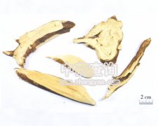 �|�L(f��ng)��