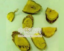 Ѫ�L(f��ng)��