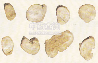 ����ˎ���Ƭ