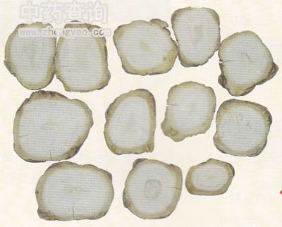 ����ˎ���Ƭ�D������Ʒ�� ˎ���Ј���ͨ����Ʒ��