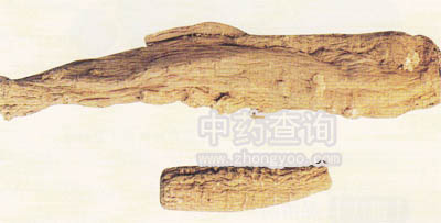 ������ˎ��