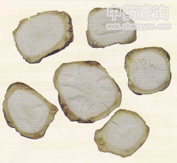 ������ˎ���Ƭ������Ʒ��