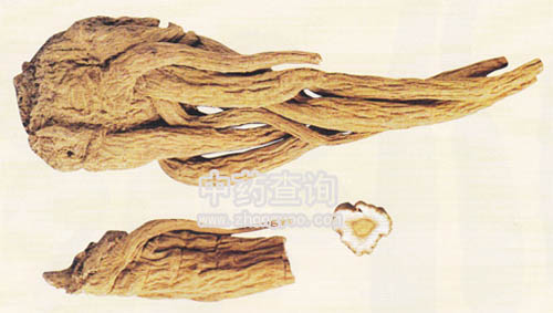 ���ο�ֲ��ĸ����(���ƻ���Ʒ)