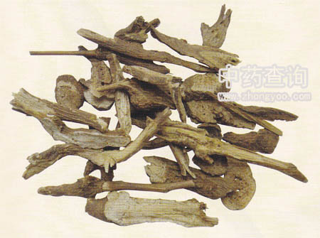 白術藥材飲片(藥材市場流通的商品)