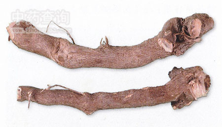 �˽Ǘ�ˎ�ĈDƬ